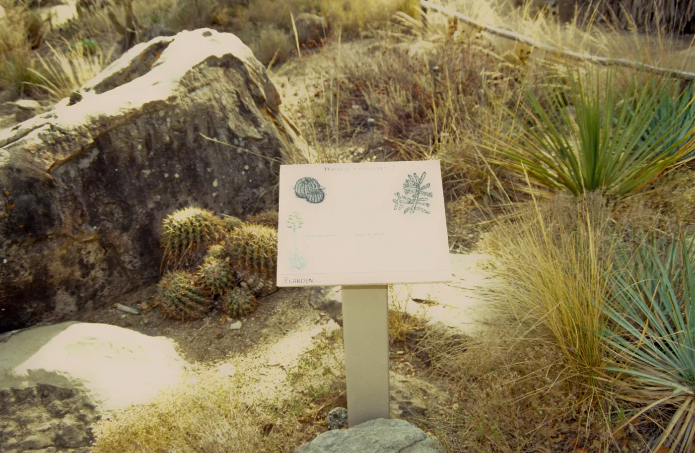 Desert Signage
