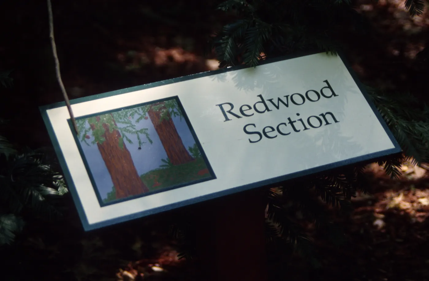 Redwood Section Sign