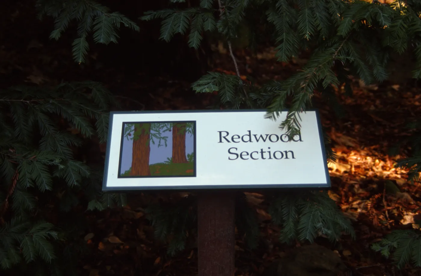 Redwood Section Sign