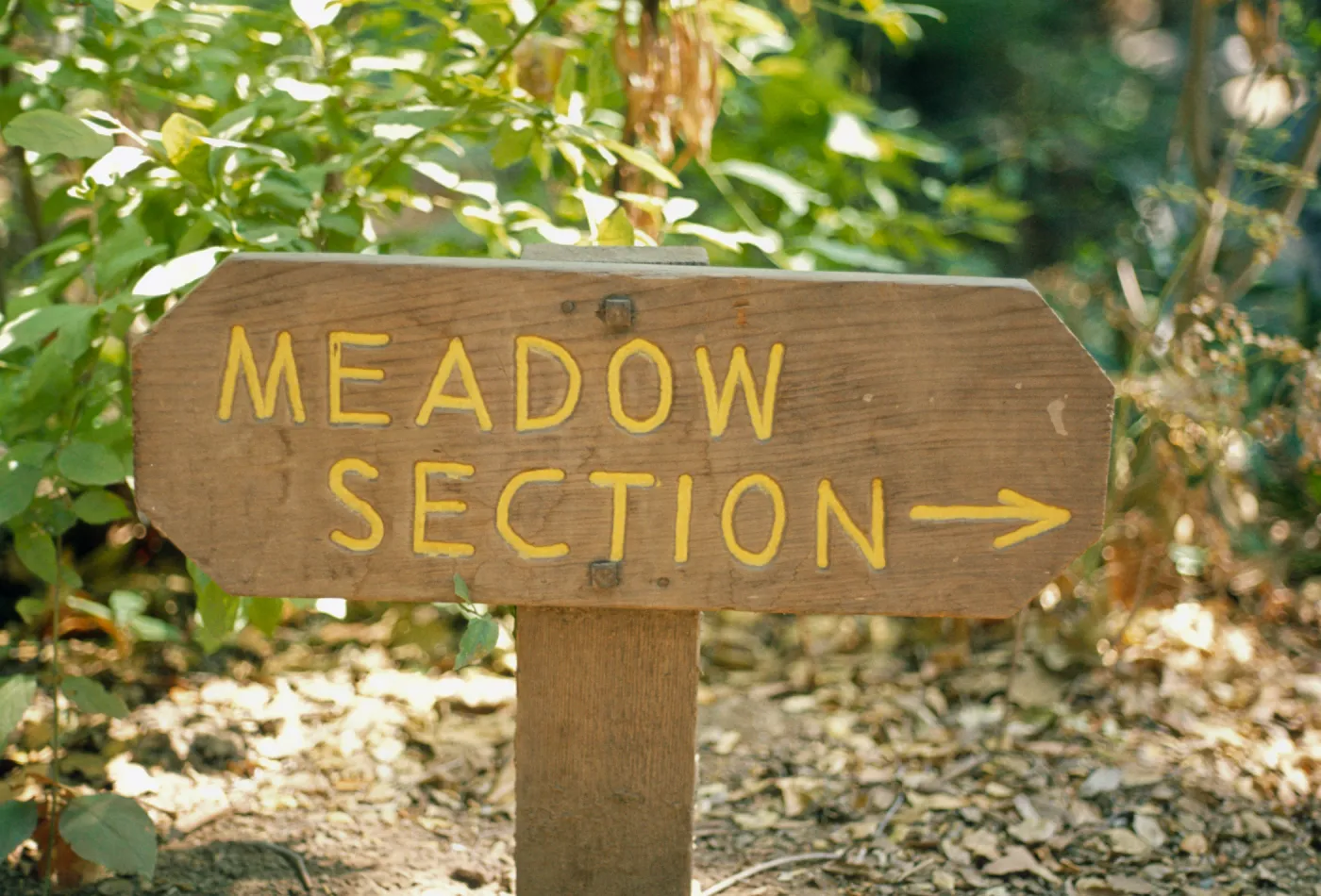 wood 'Meadow Section' Sign