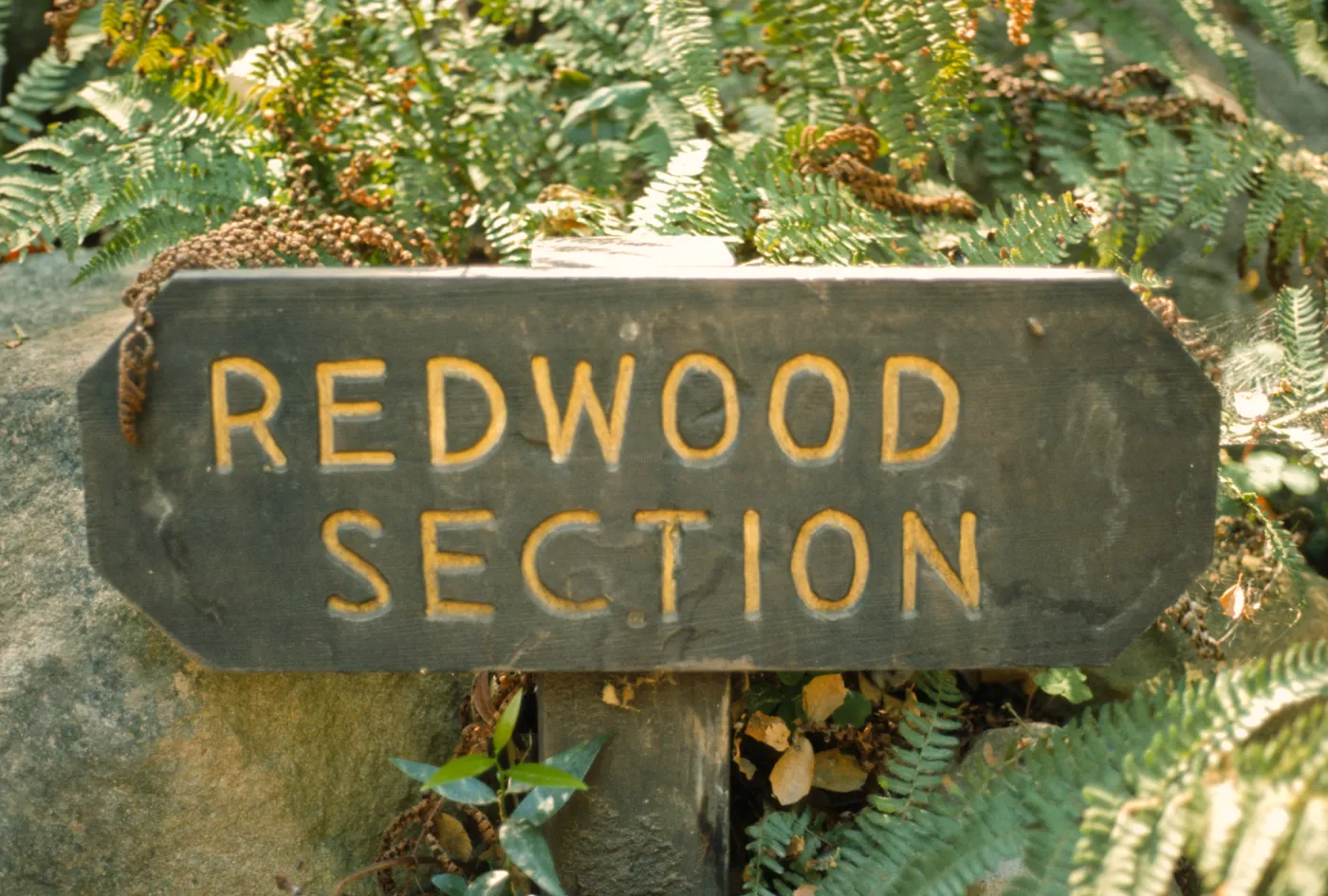 wood 'Redwood Section' sign