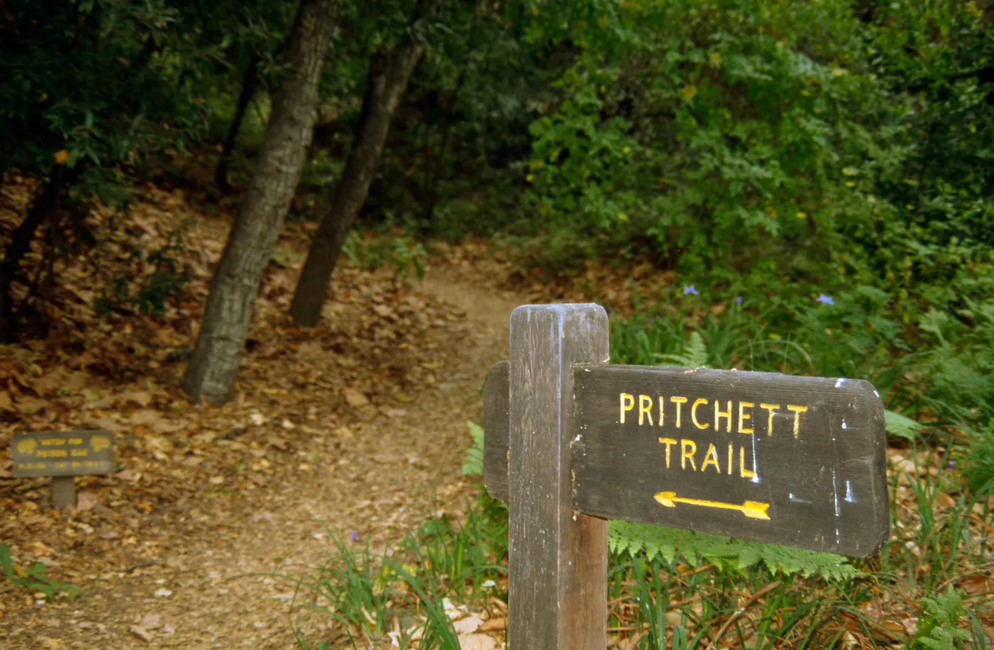 wood 'Pritchett Trail' Sign