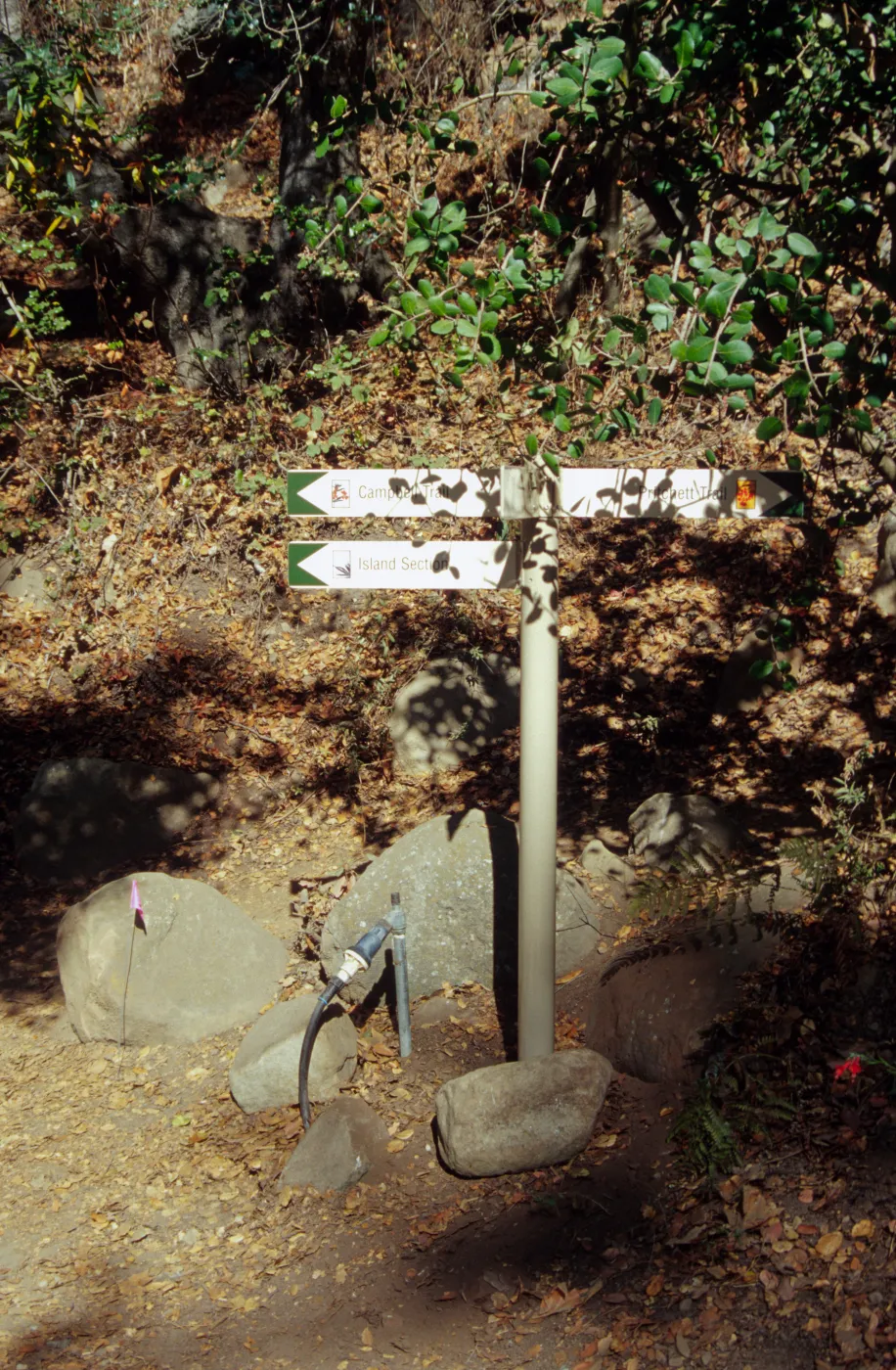 Directional signage in the Redwood Section