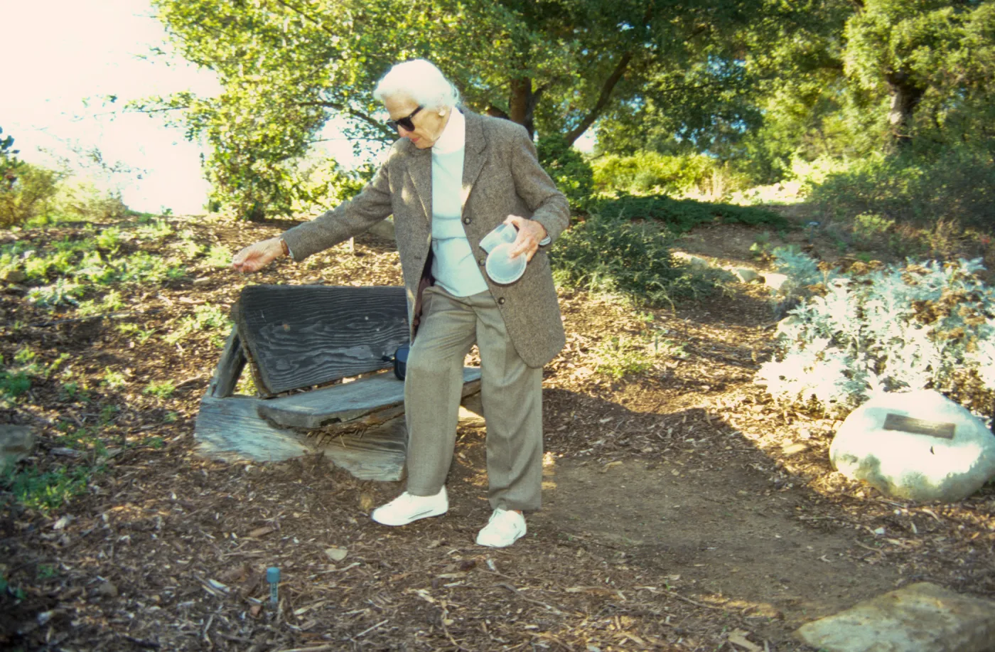 Ann Jones sowing wildflower seeds, Porter Trail, wood bench