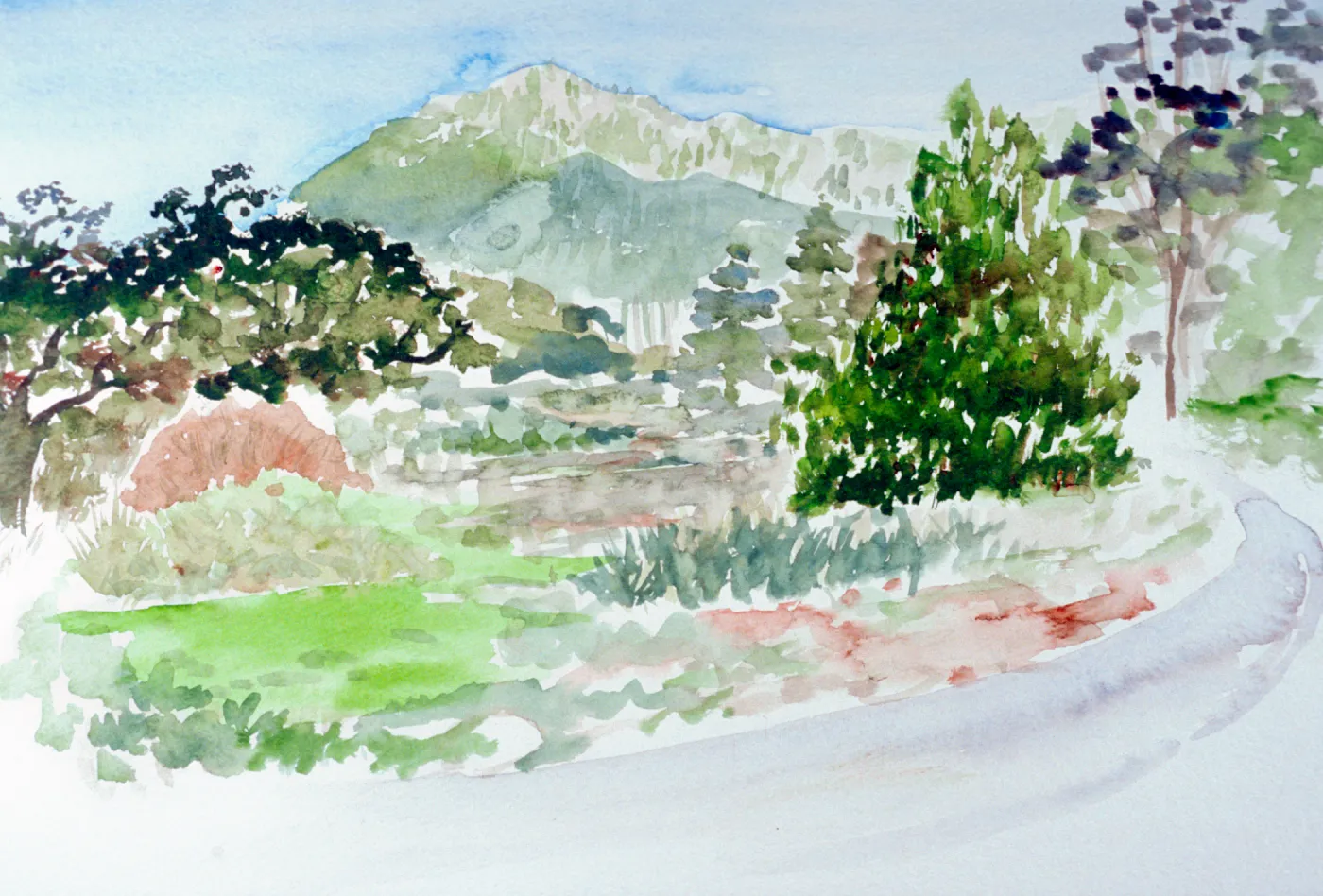 Watercolor of the Meadow