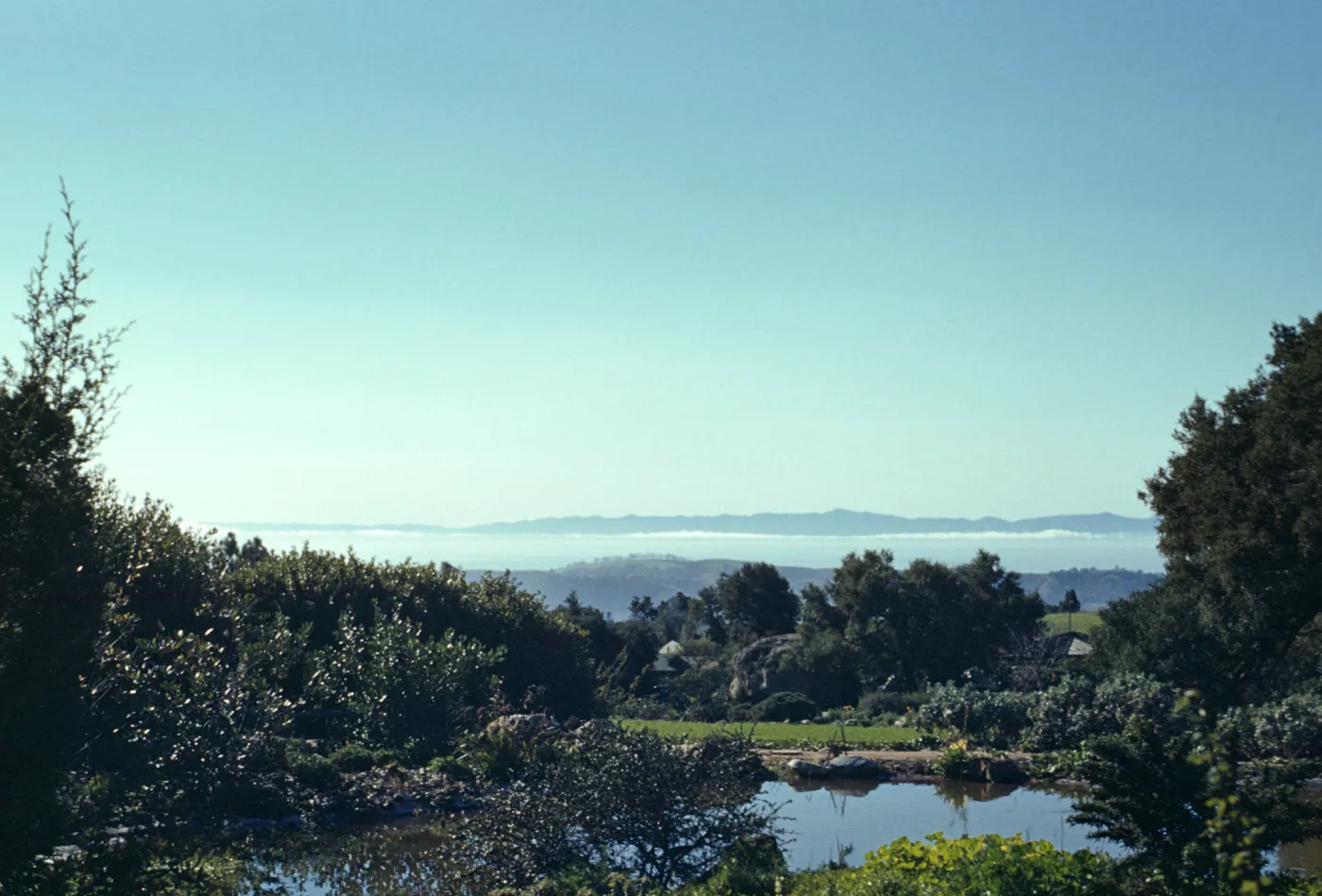 Island and ocean view from the top of the Meadow, pool at top of Meadow