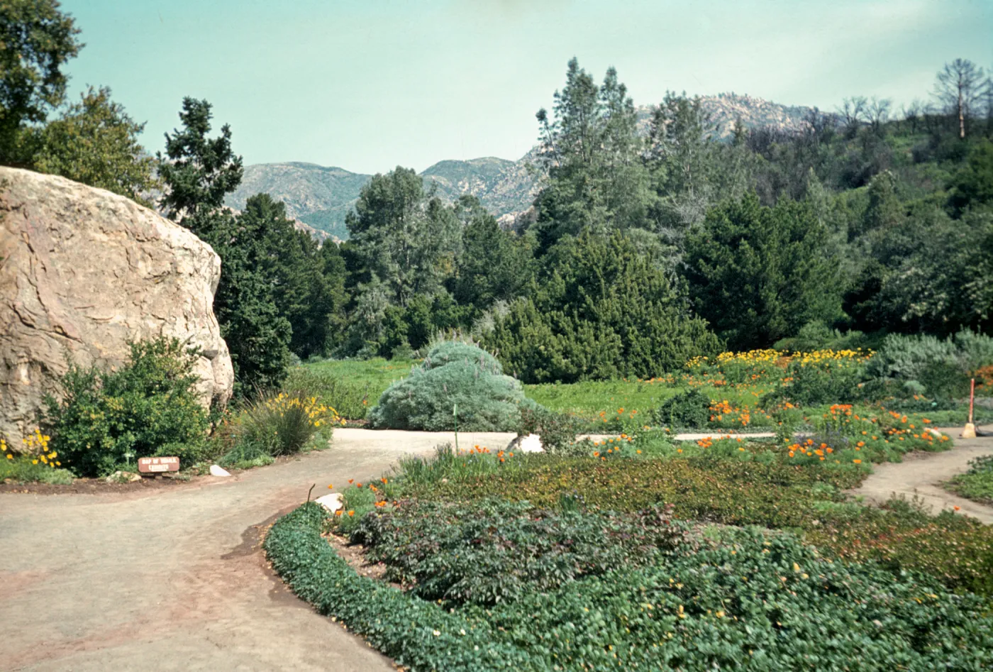 SBBG Meadow, Blaksley Boulder
