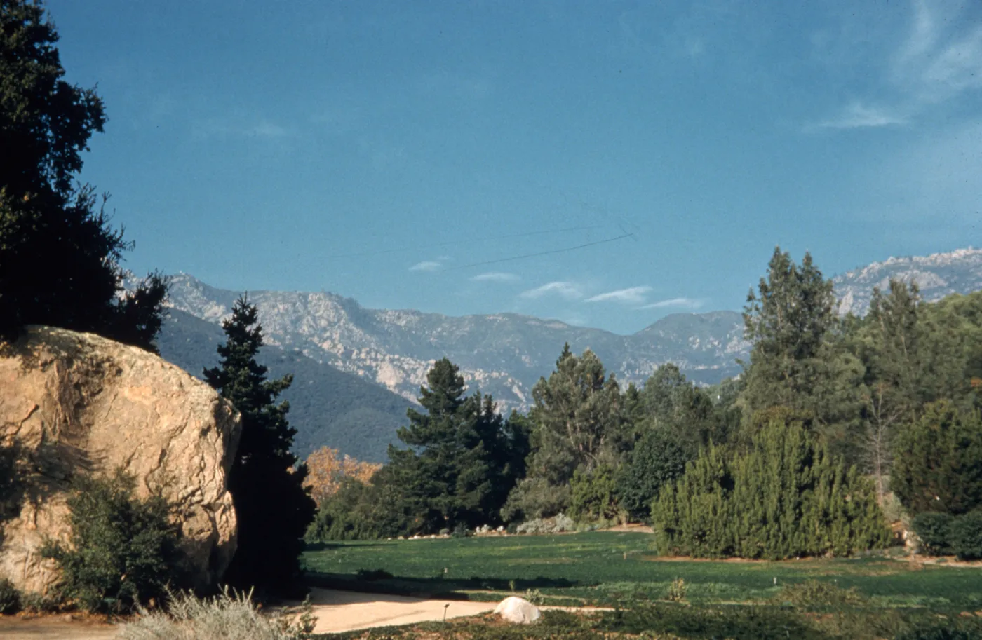 SBBG Meadow, Blaksley Boulder