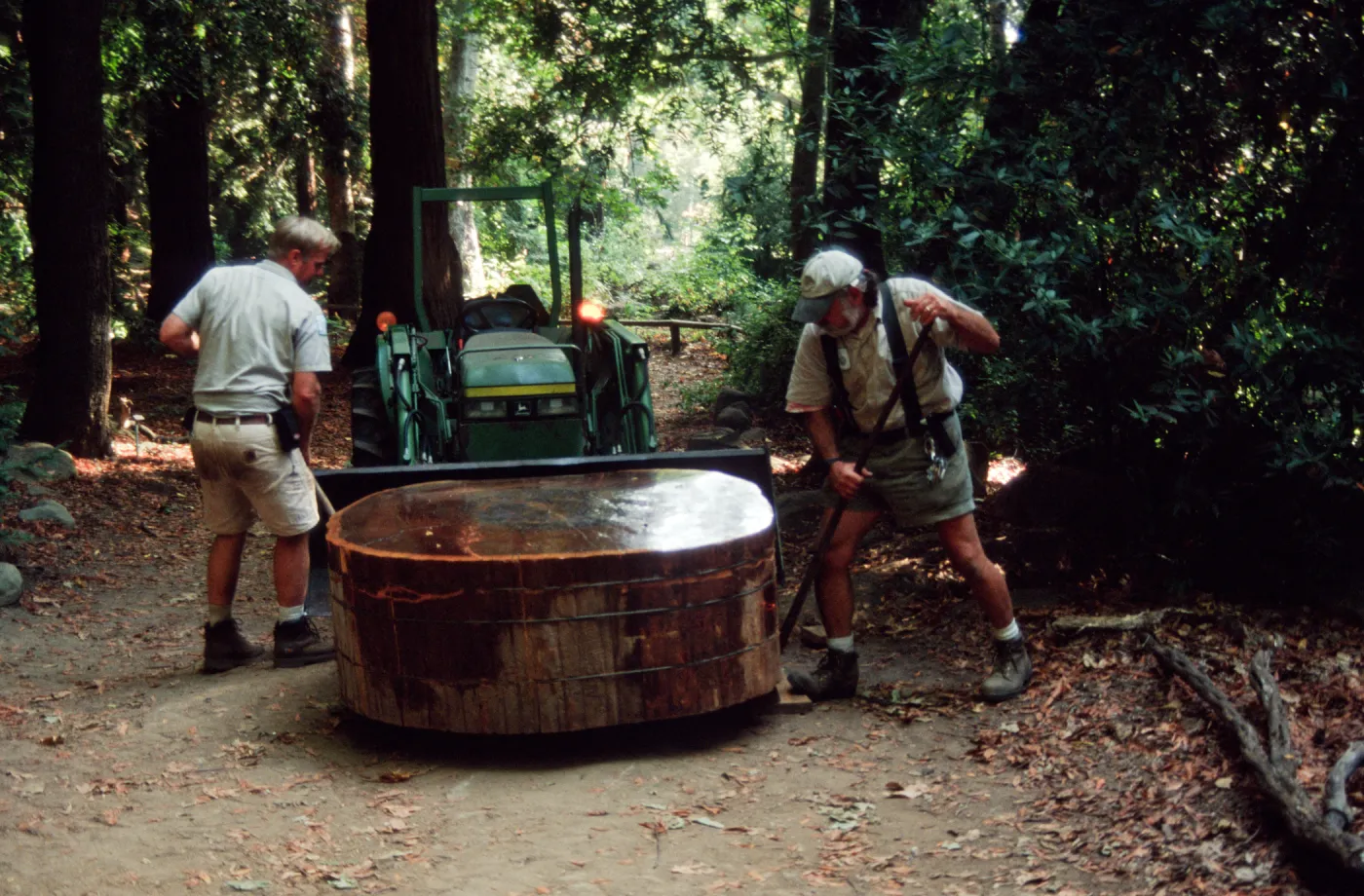 tractor, Dave Kershaw and Geege Osoff moving the redwood cross-section, Redwood Section
