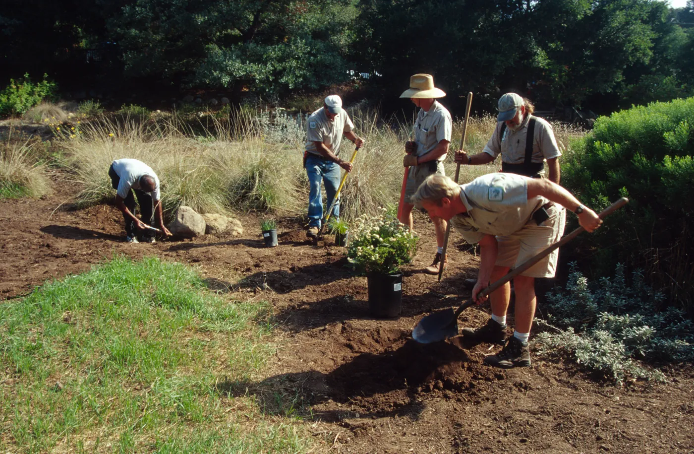 Gardeners and grounds staff planting in the Meadow