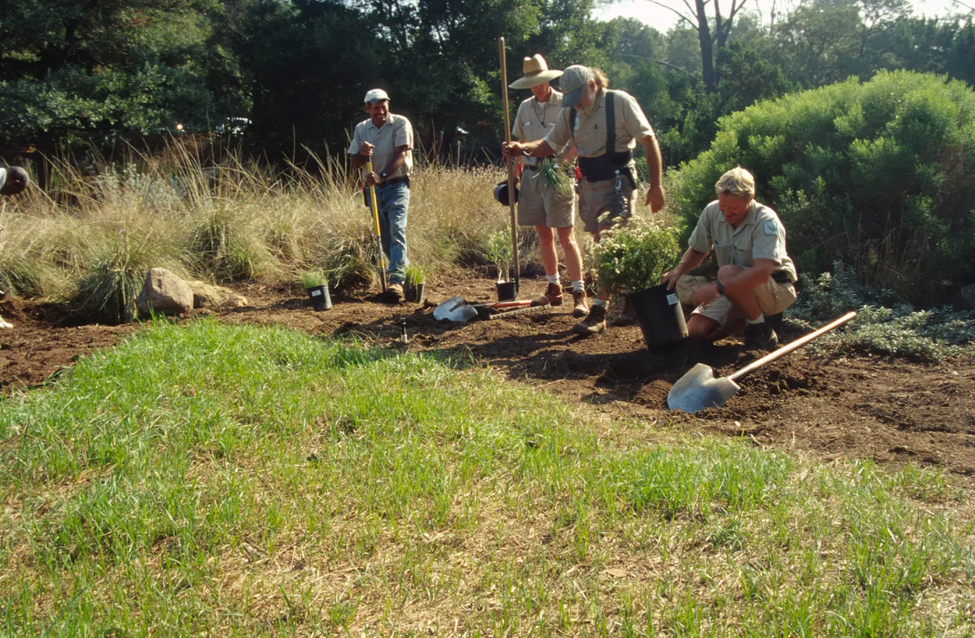 Gardeners and grounds staff planting in the Meadow