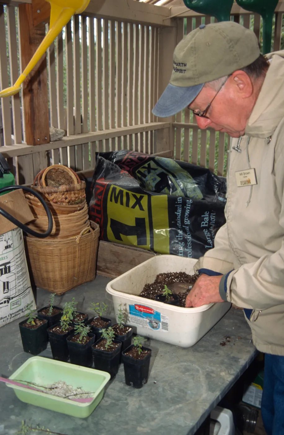 Will Brown potting up plants, Horticulture Unit