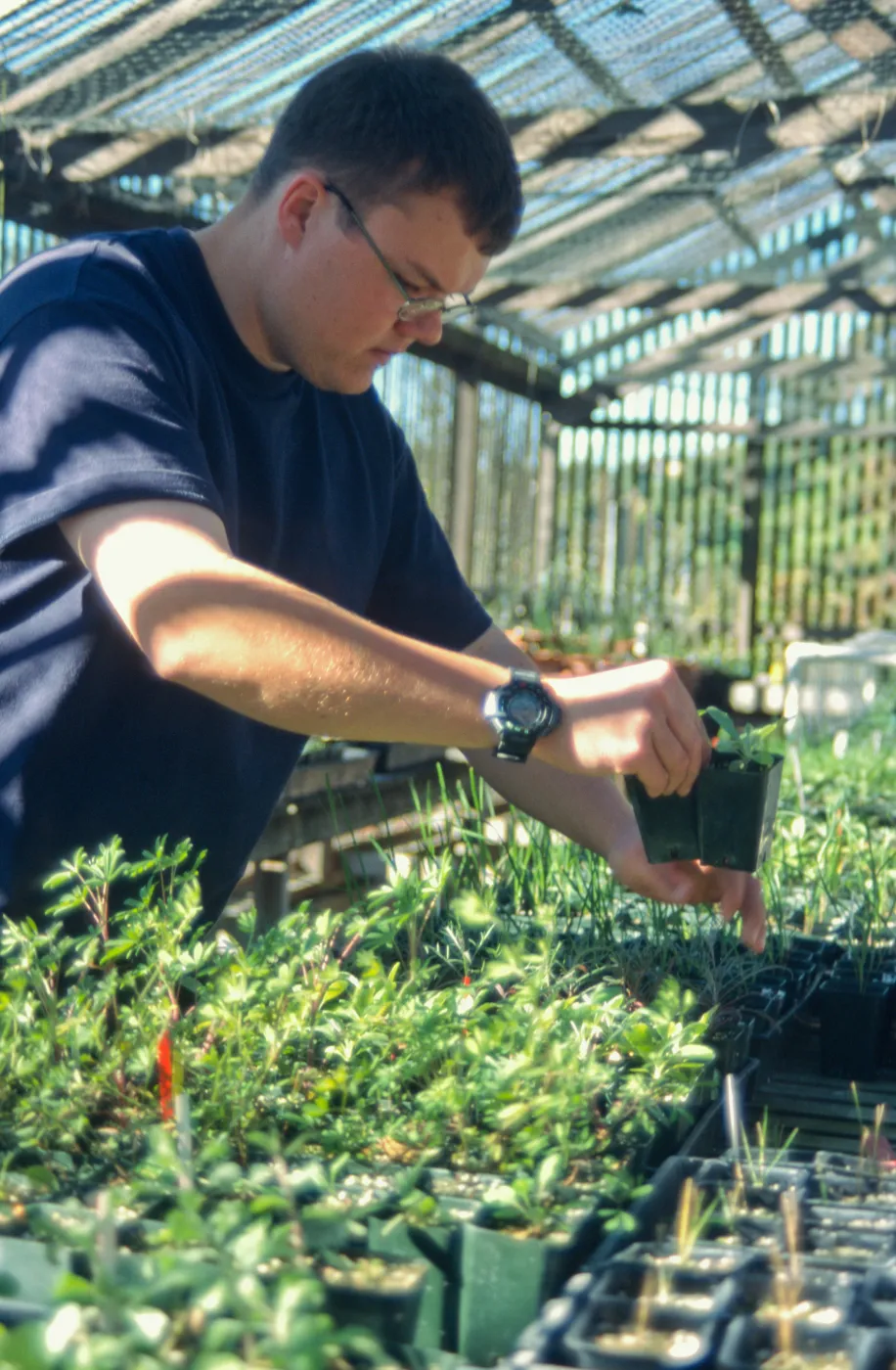 Andrew Wyatt, plant propagator, Horticulture Unit