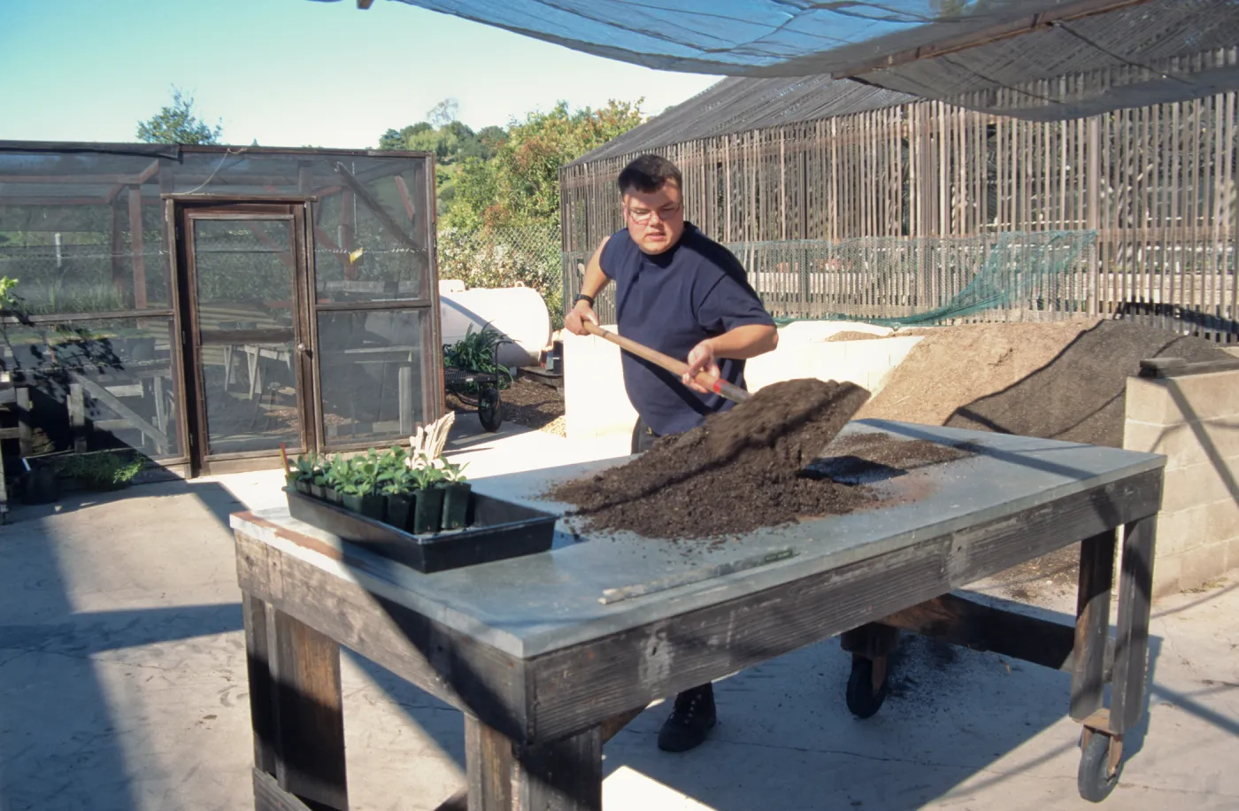 Andrew Wyatt, plant propagator, Horticulture Unit