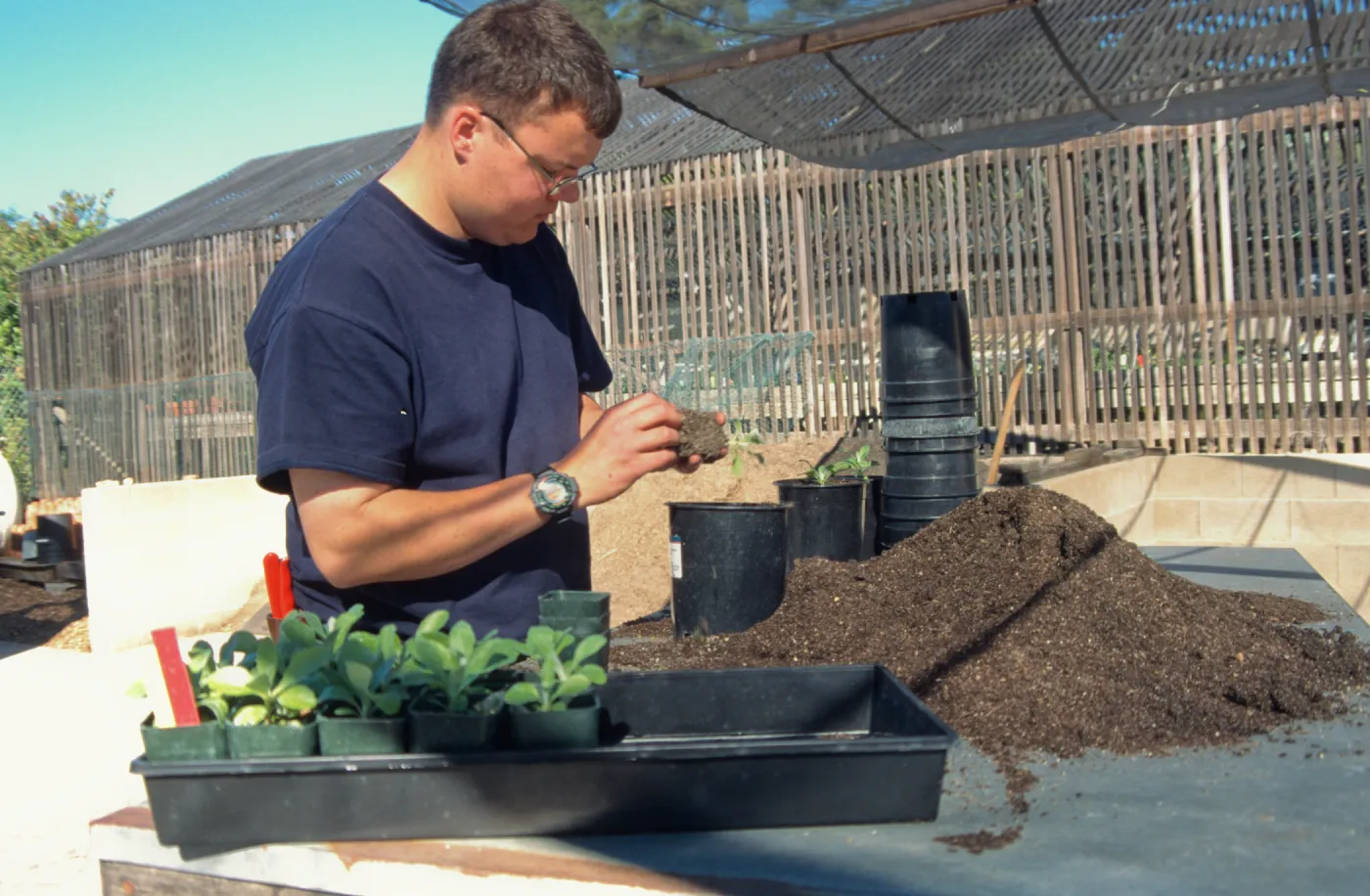 Andrew Wyatt, plant propagator, Horticulture Unit