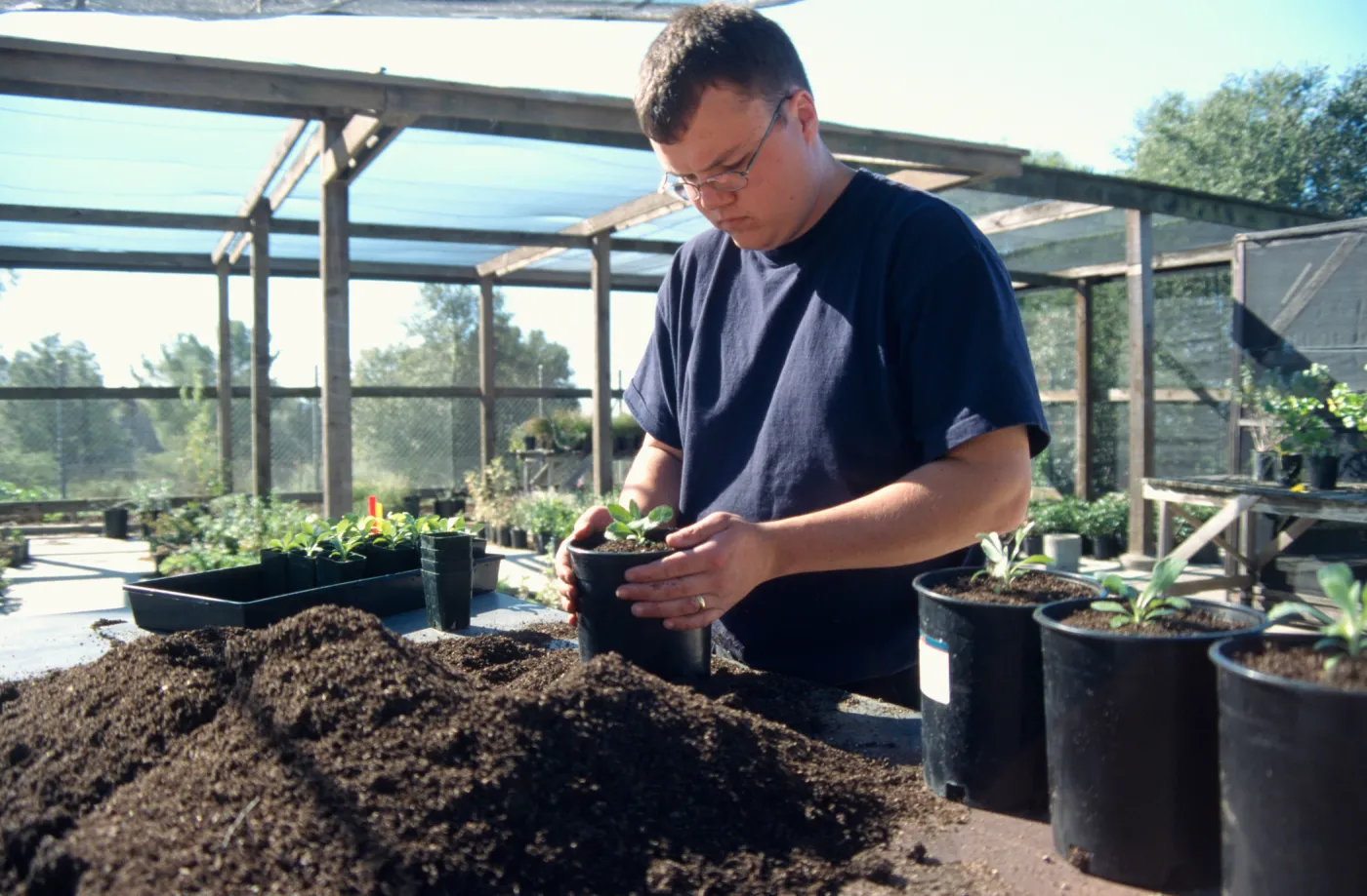 Andrew Wyatt, plant propagator, Horticulture Unit