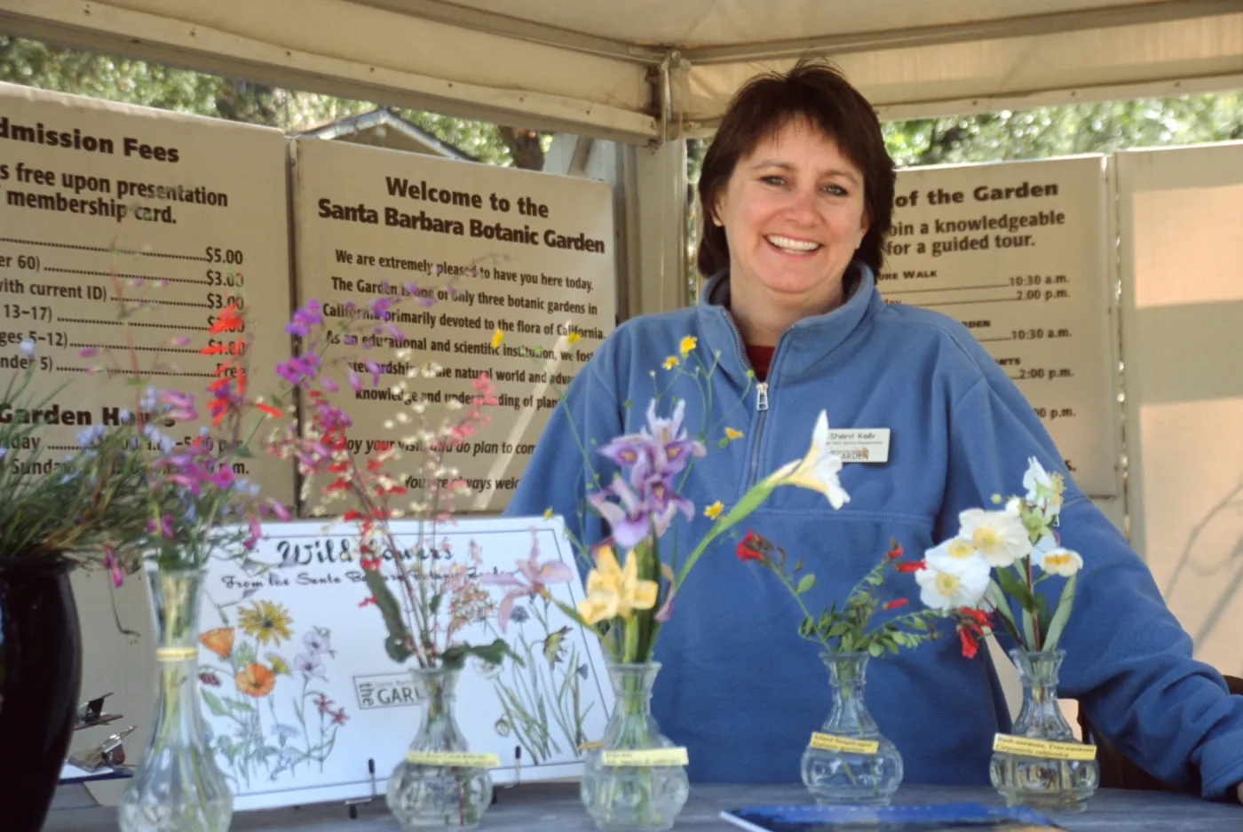 Sheryl Kelly, Entrance Kiosk, wildflowers on display at the Kiosk ($5 Adult entrance fee)