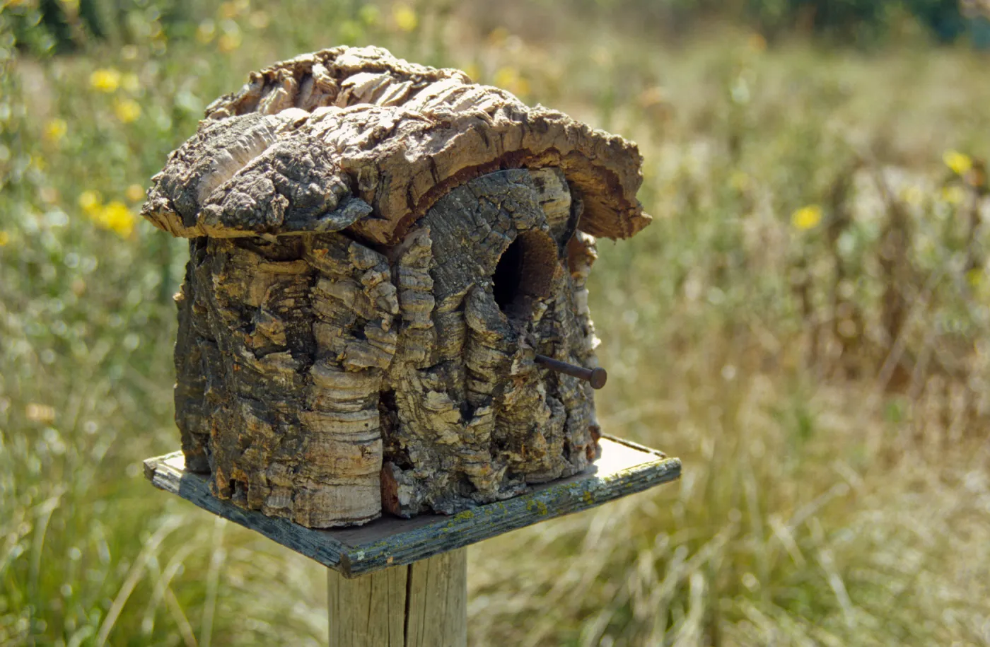 bird house, Garden Works Event