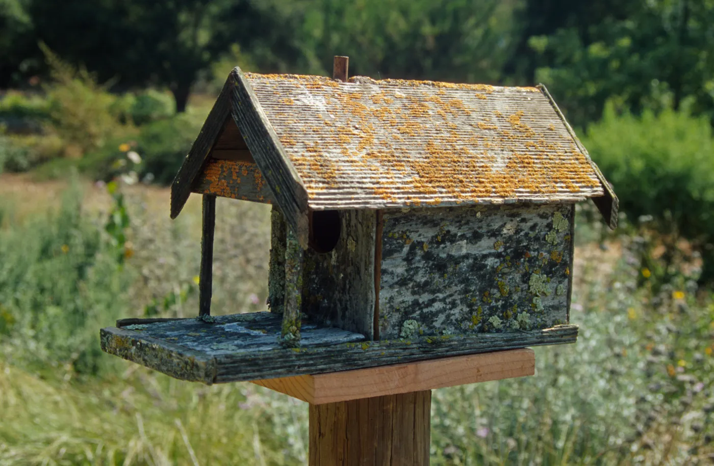 bird house, Garden Works Event
