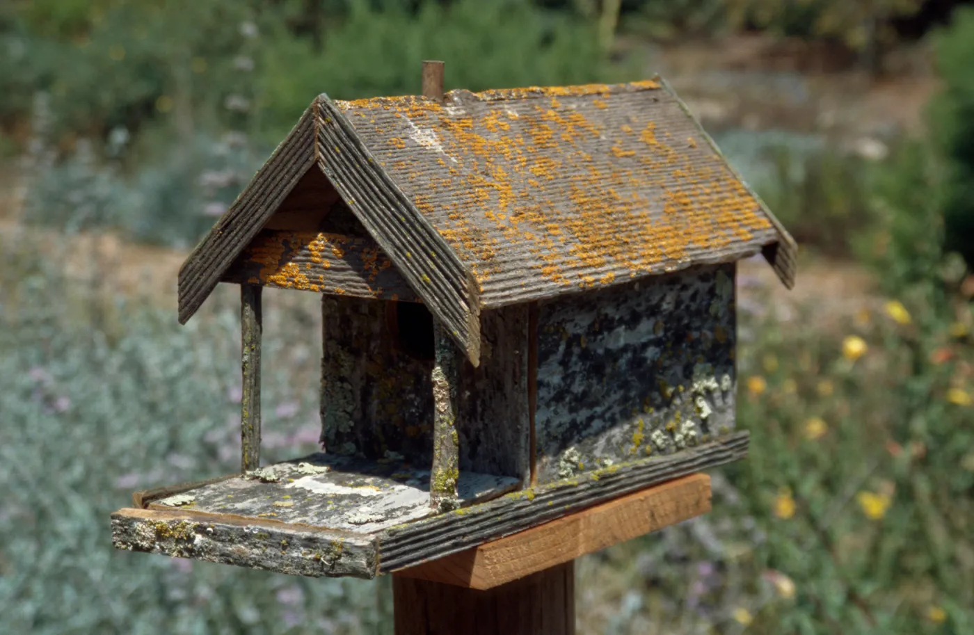 bird house, Garden Works Event