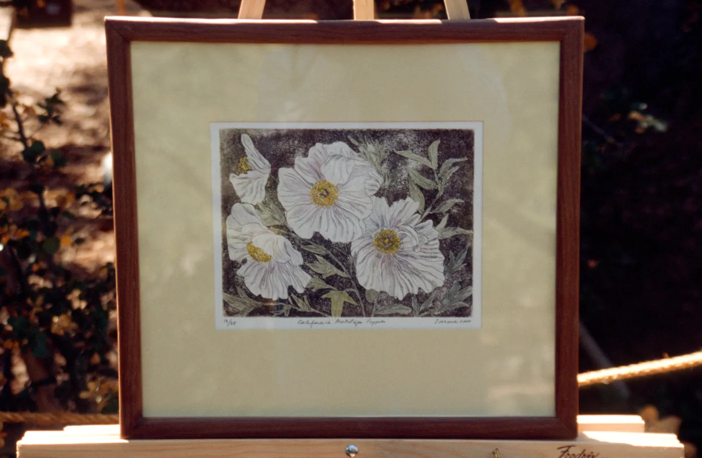 Matilija poppies artwork, Garden Works Event