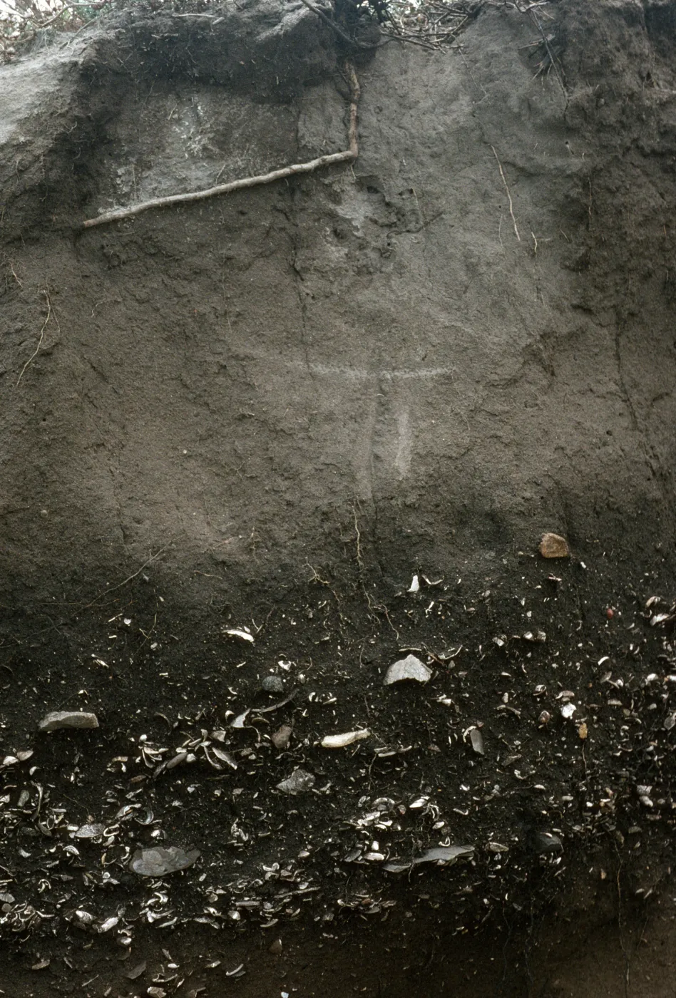 midden