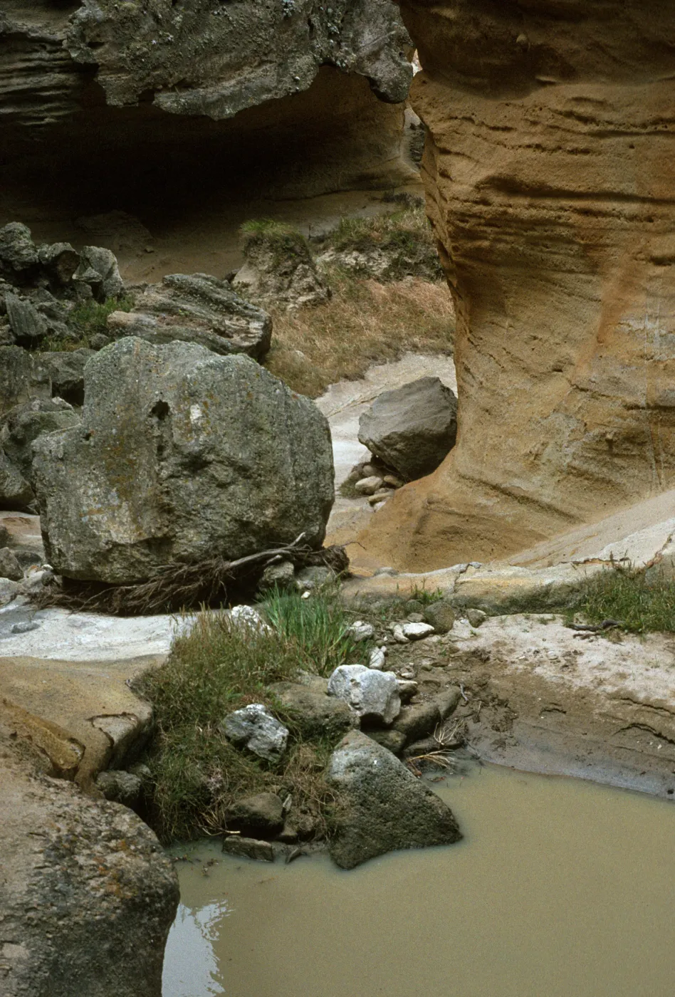Lobo Canyon