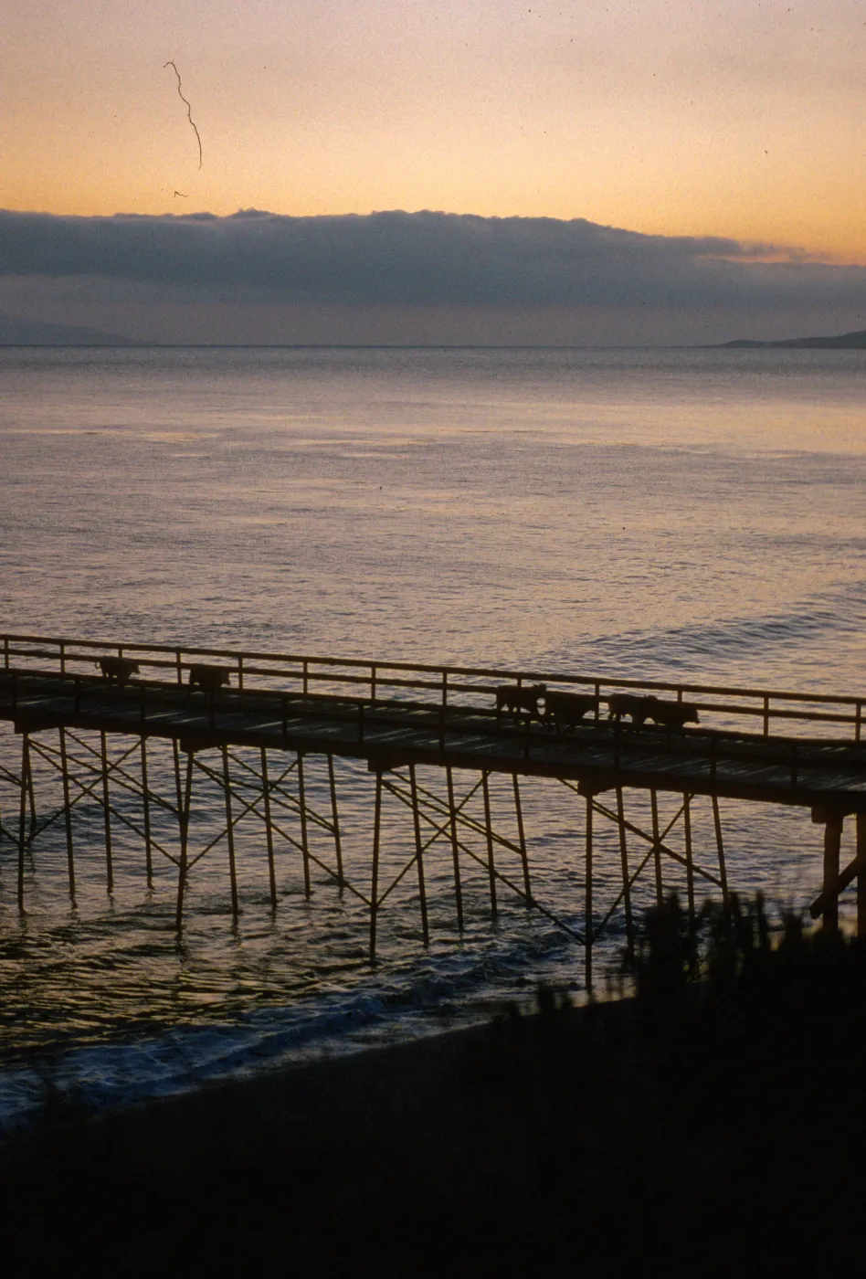 Bechers Bay, Santa Rosa Island, Pier