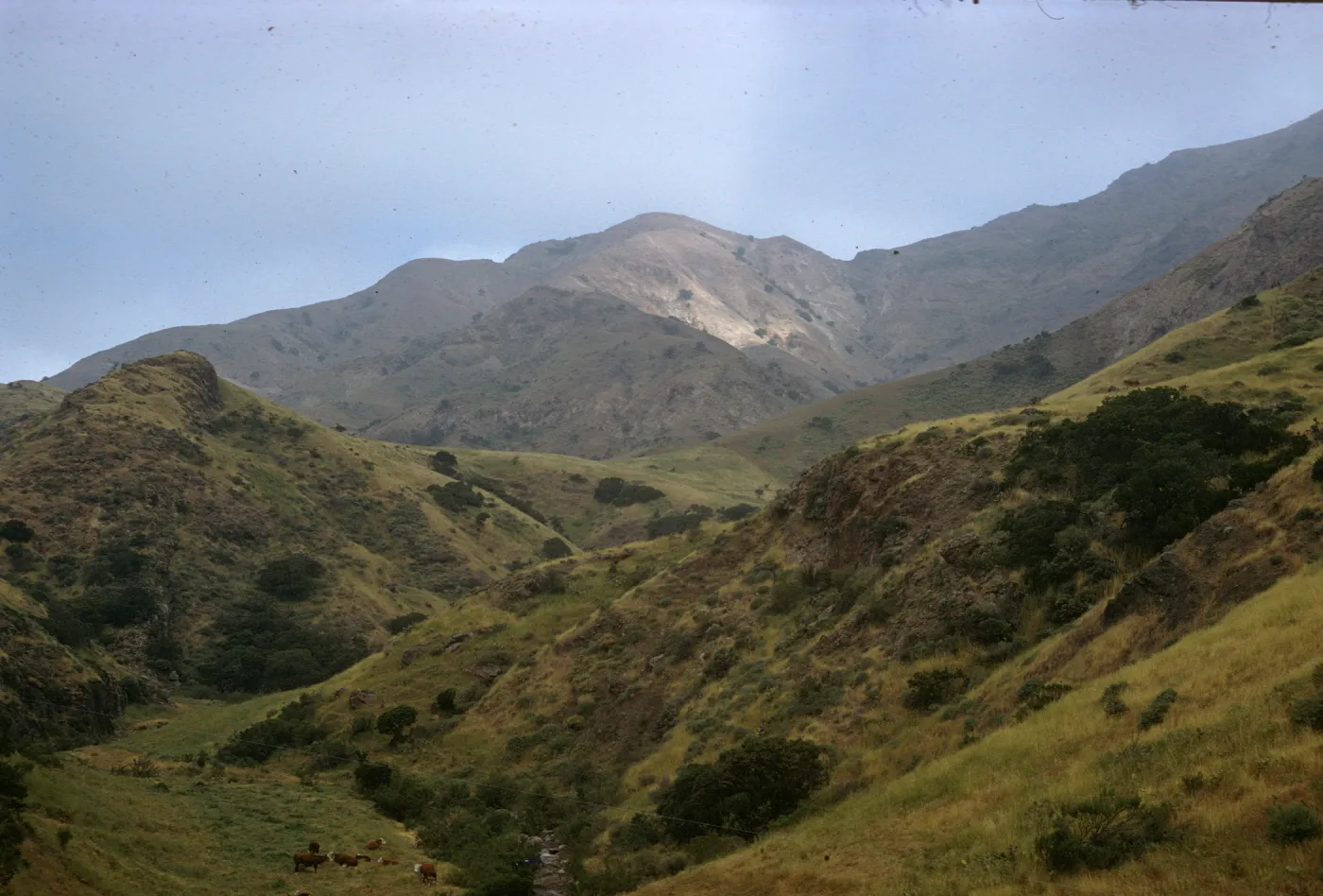 North Ridge, Santa Cruz Island