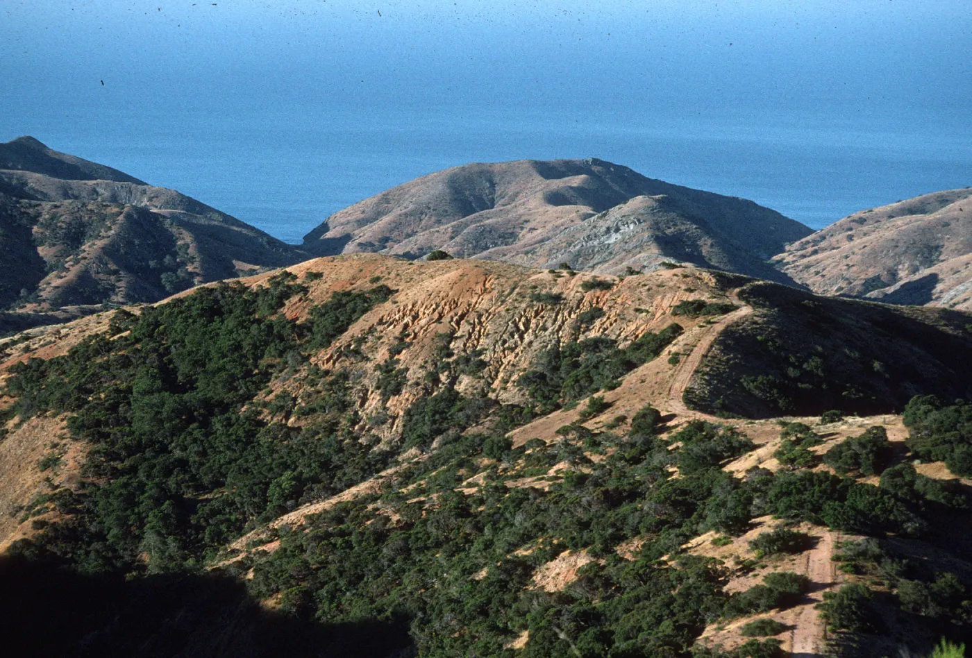Santa Cruz Island