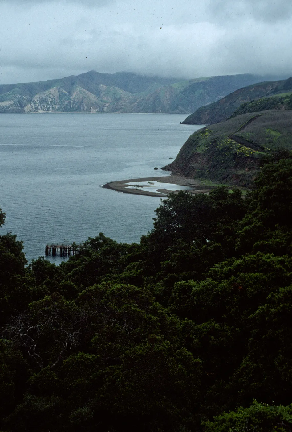 Prisoners Harbor, Santa Cruz Island