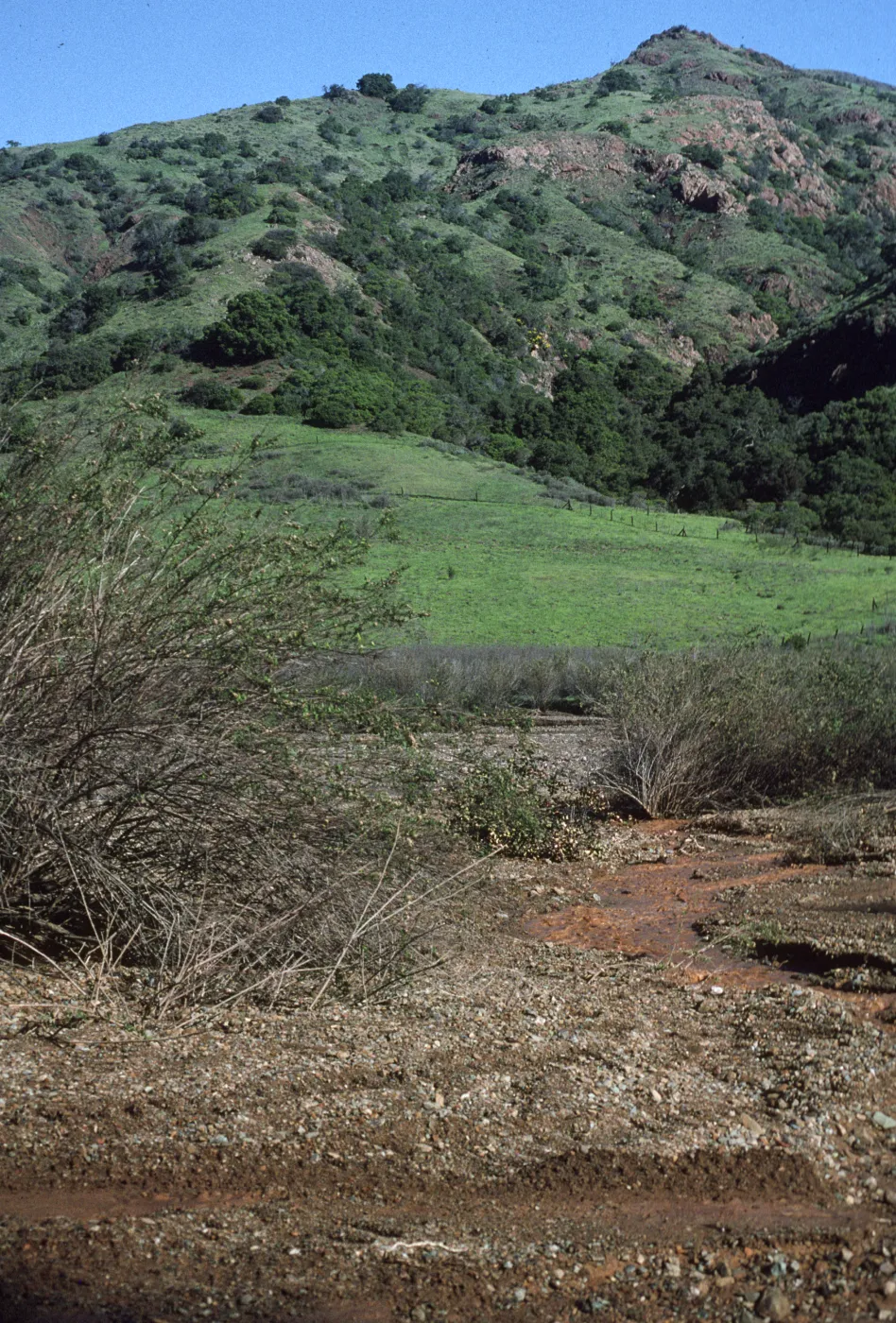 Central Valley, Santa Cruz Island