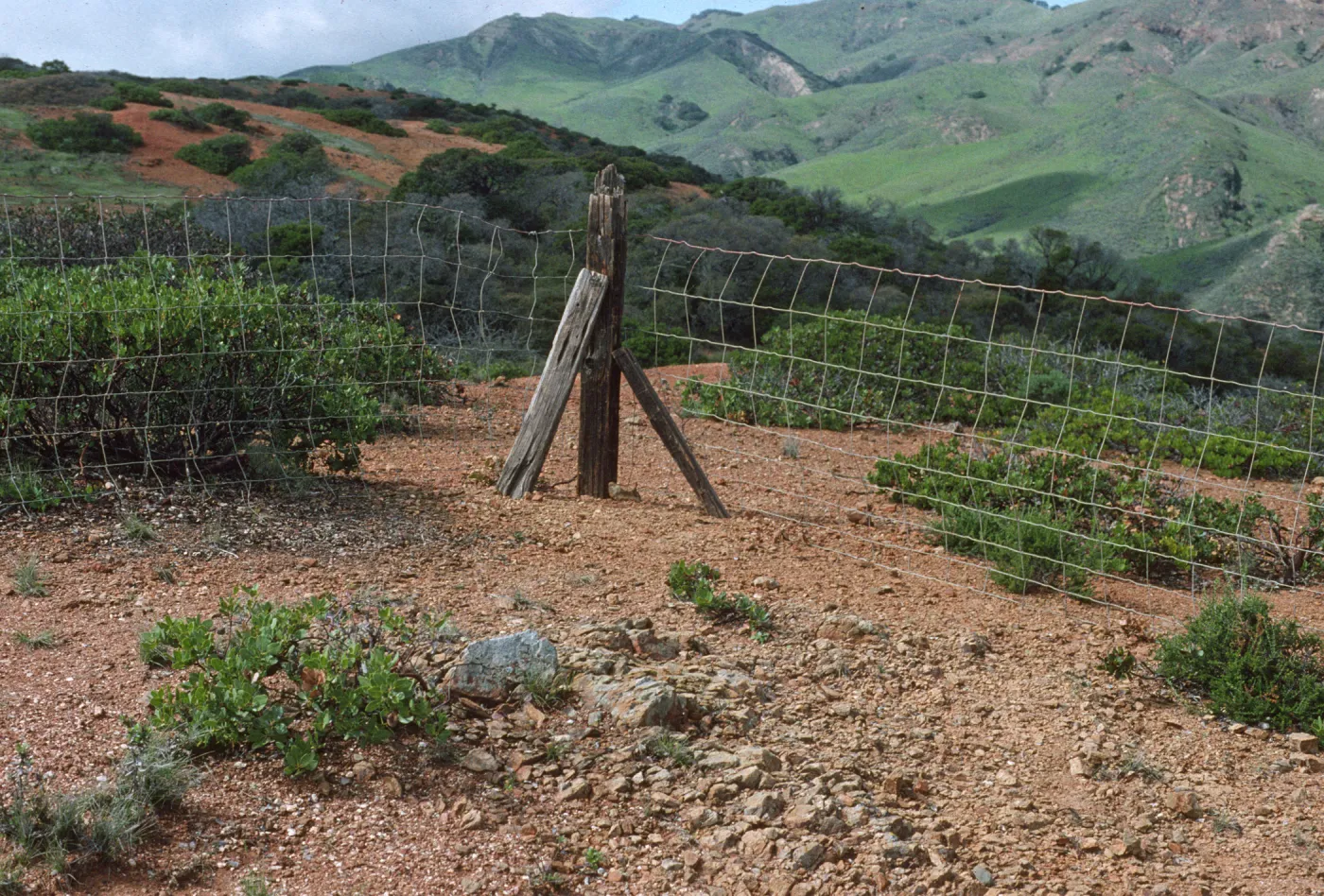 Pig Exclosure, Santa Cruz Island