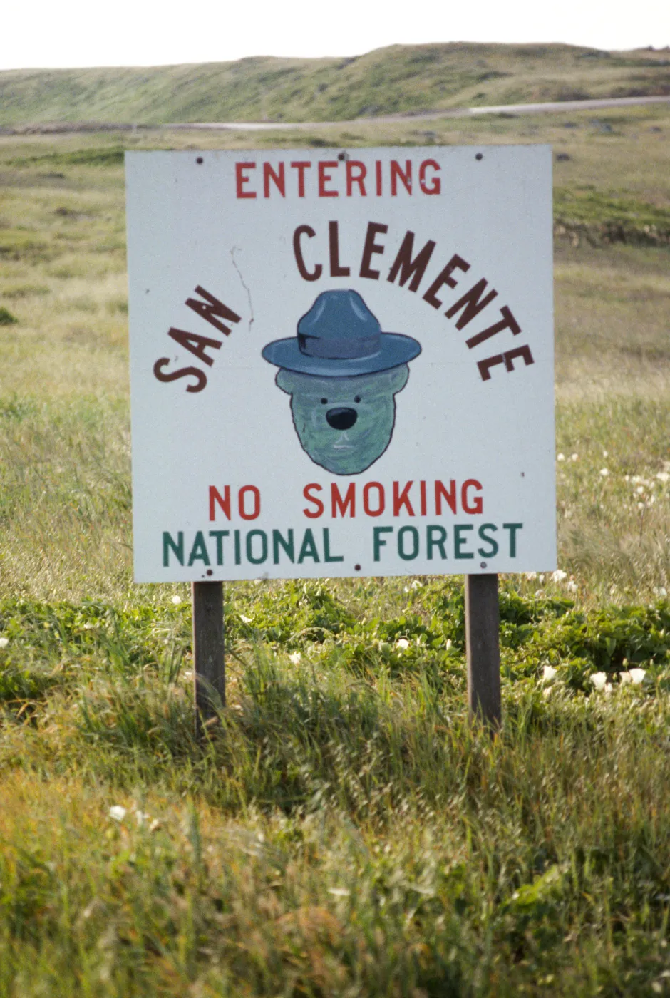 San Clemente National Forest, San Clemente Island