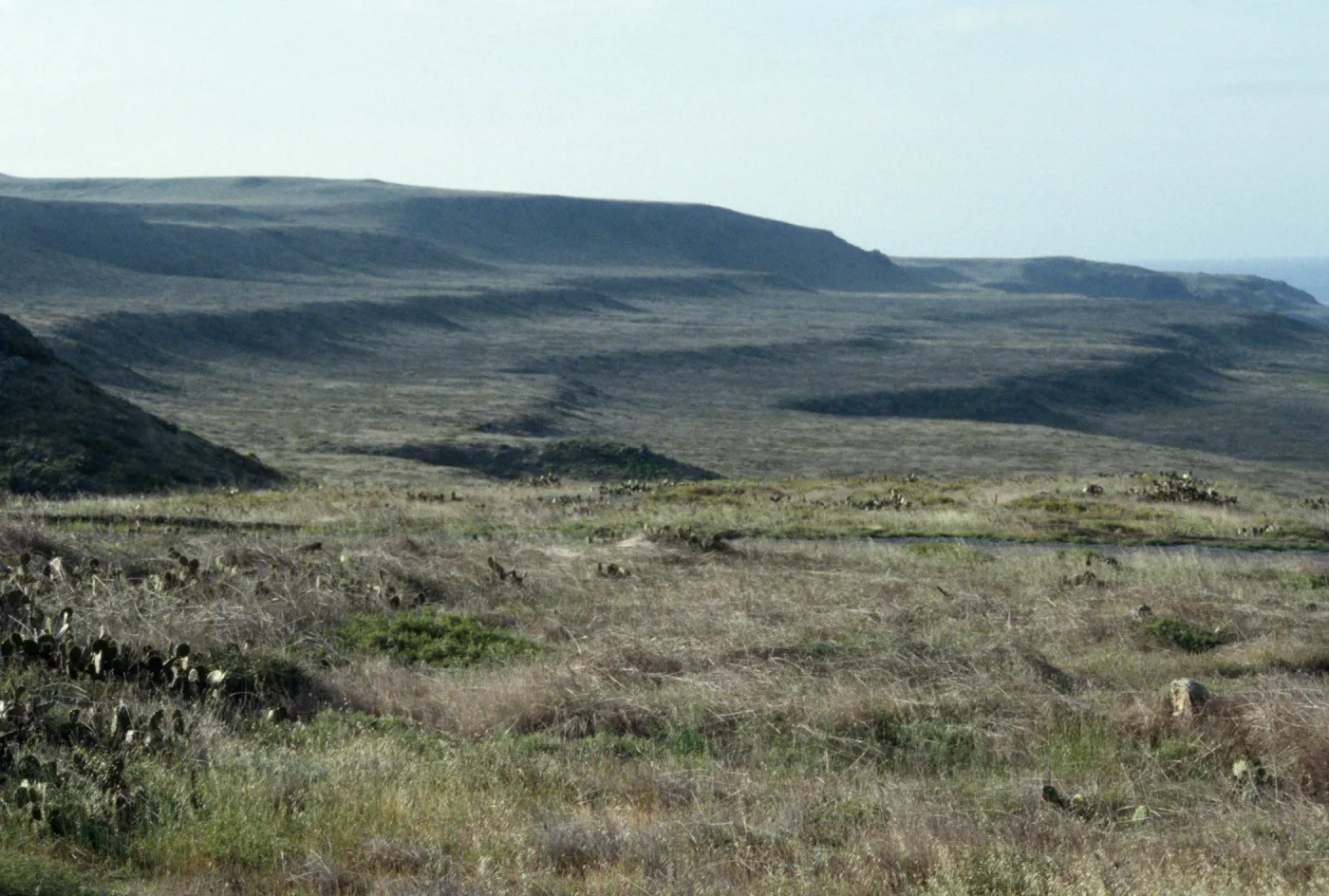 Pleistocene beach terraces, San Clemente Island