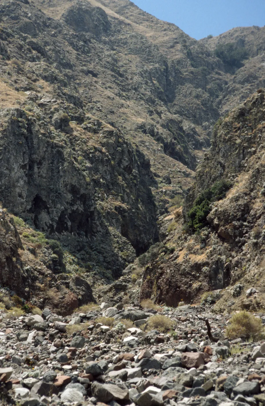 Twin Dams Canyon, San Clemente Island