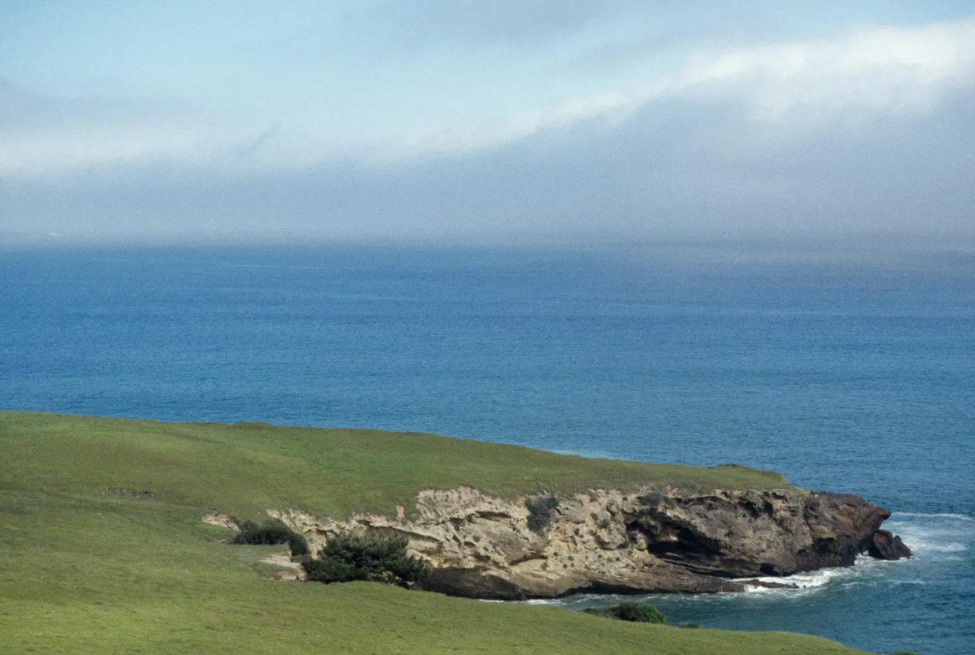 near Bechers Bay, Santa Rosa Island
