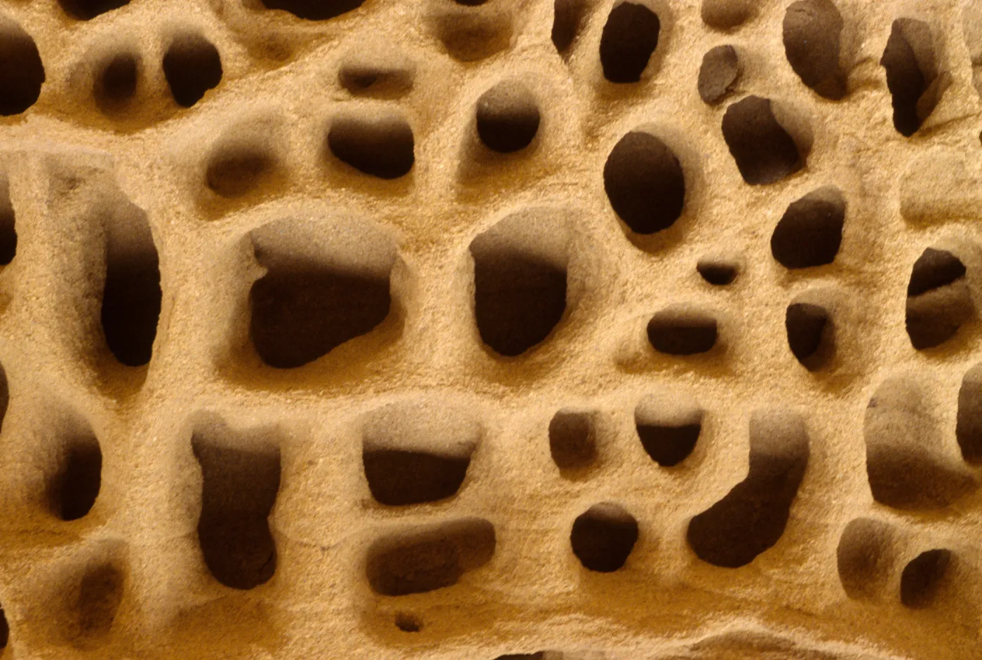 rock formation, Trancion Canyon, Santa Rosa Island