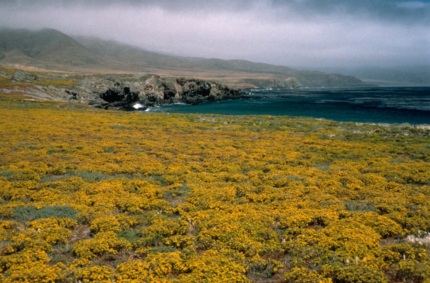 west end of Santa Cruz Island