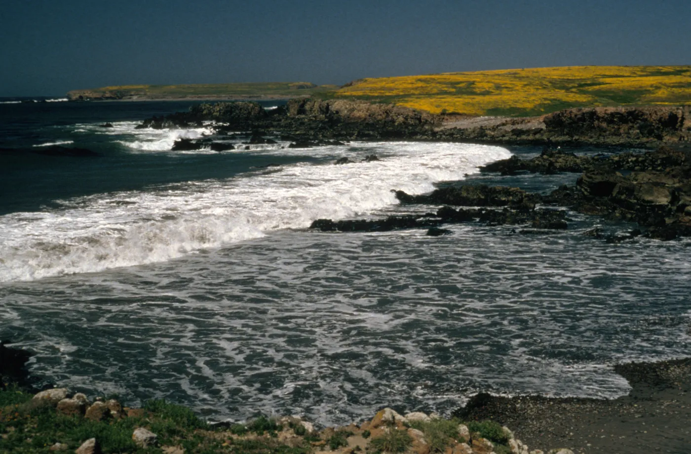 beach at Santa Cruz Island