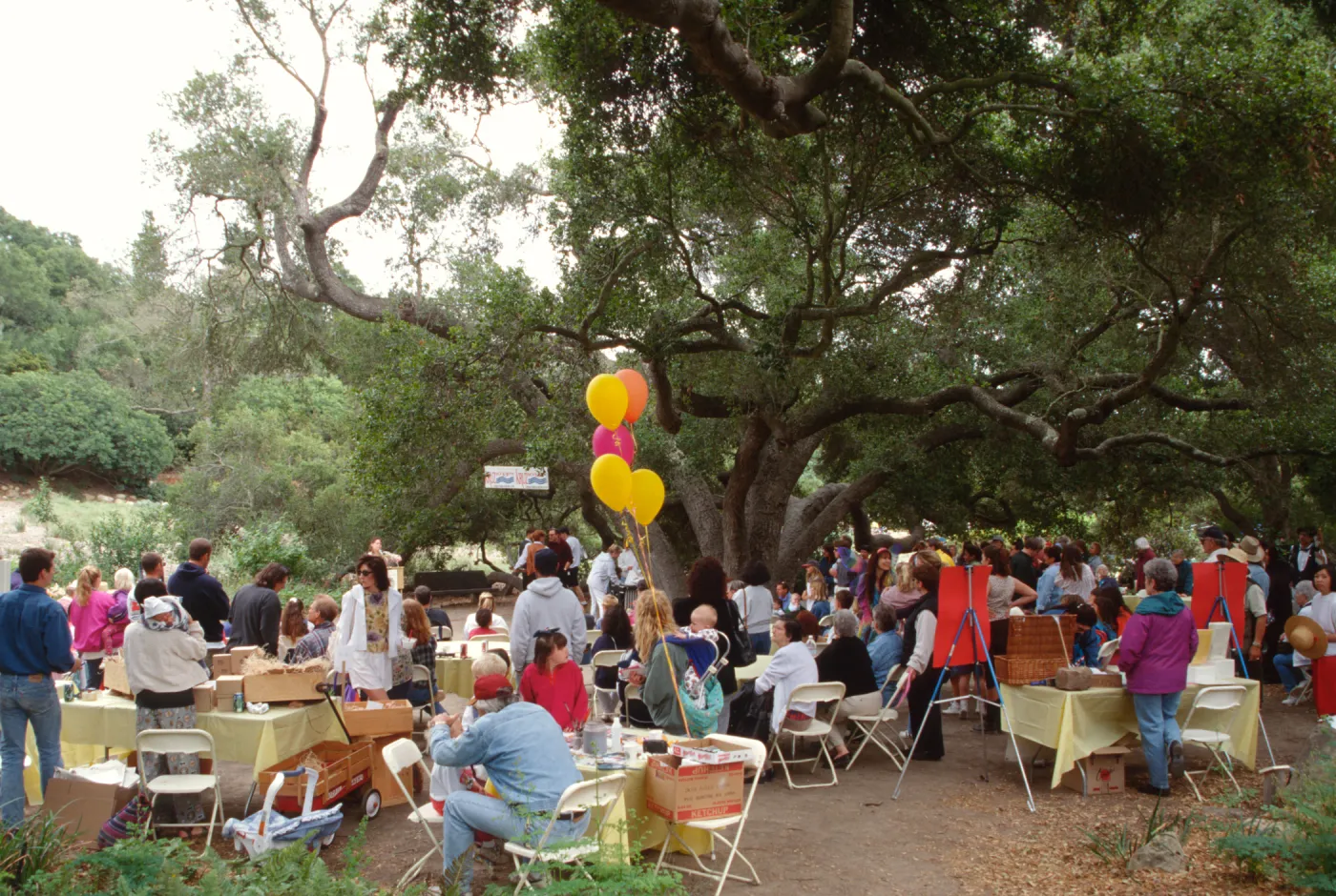 Spring Plant Sale