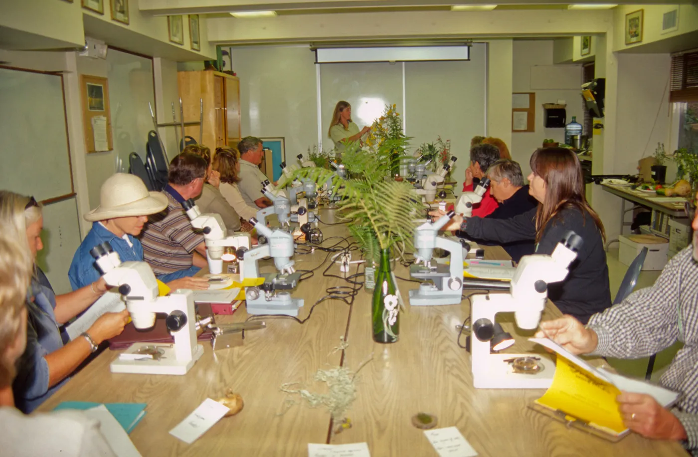 Adult Classes