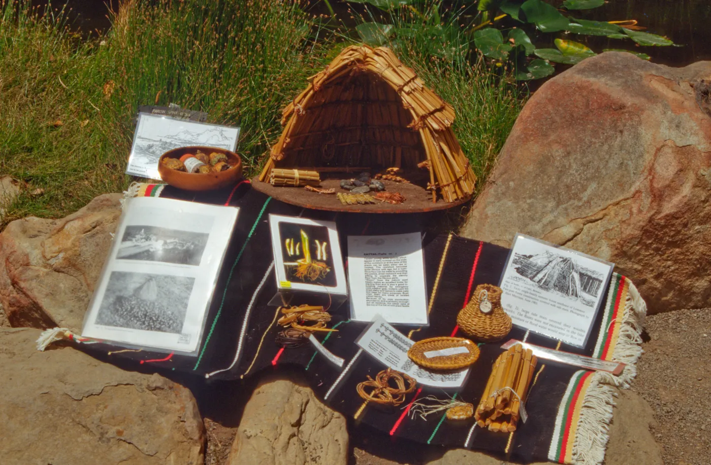 Docents' Basketry Display, Fiber Arts Exhibit