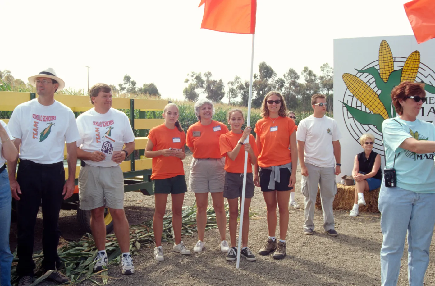 Maize Maze