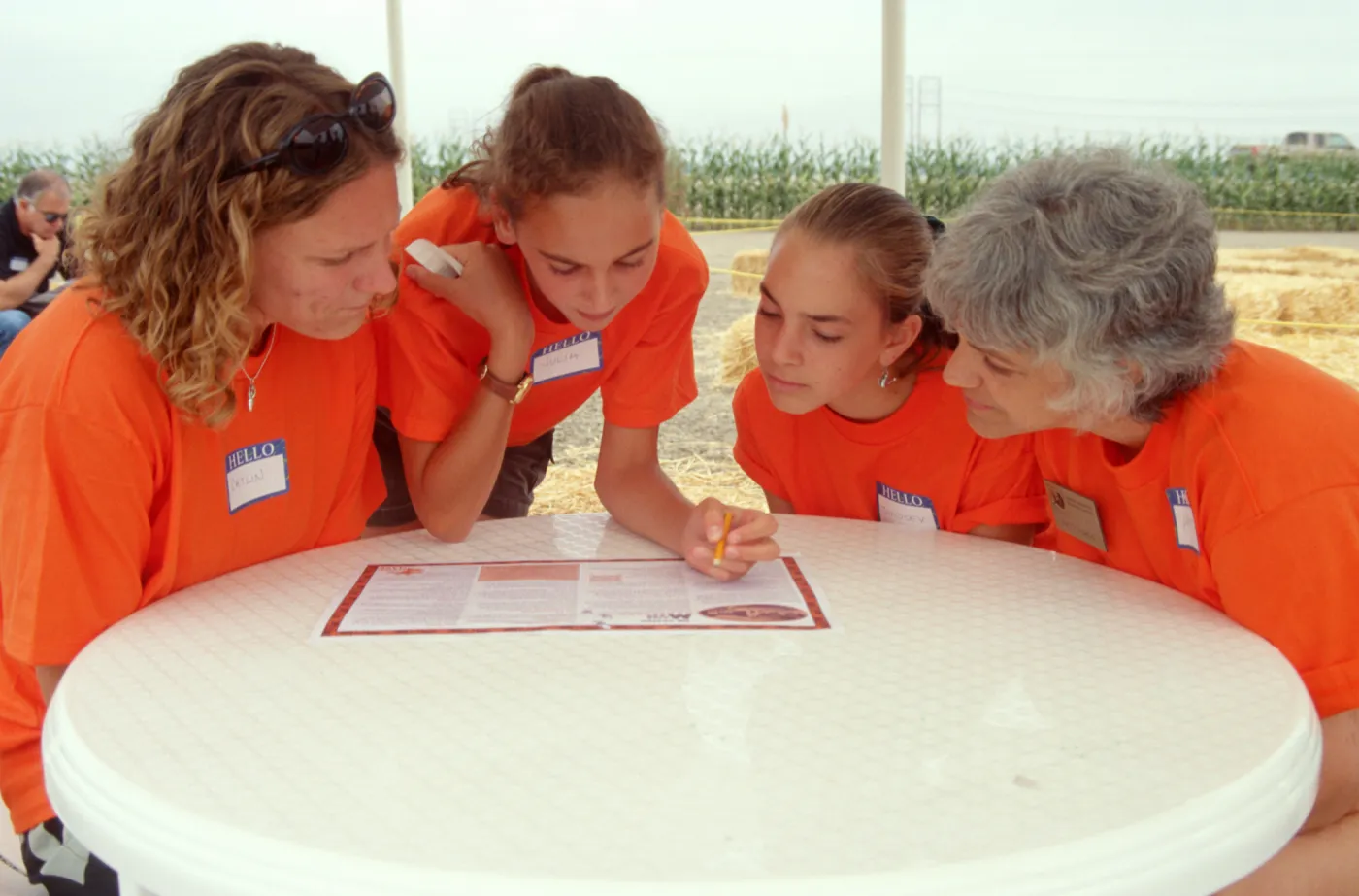 Maize Maze