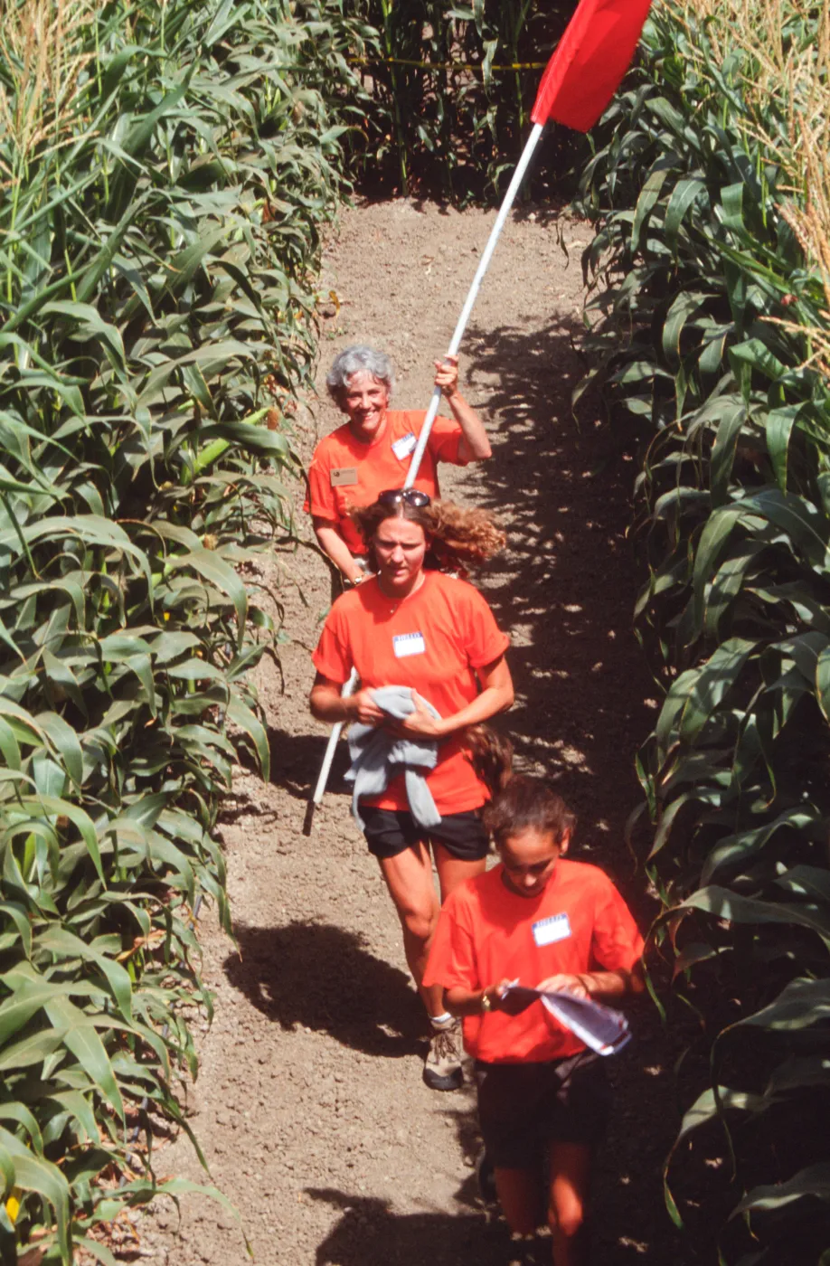 Maize Maze