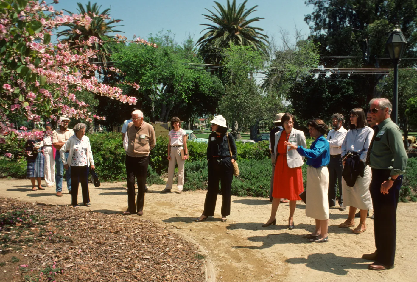 Alice Keck Park Memorial Garden