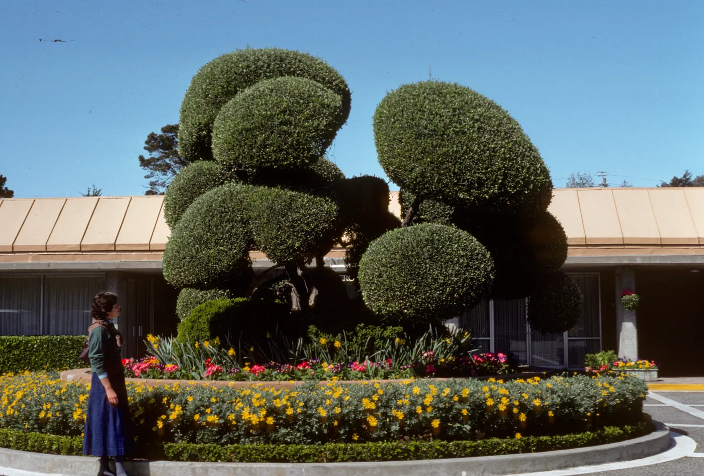 San Francisco Peninsula Trip with Mary Carroll and Lila Burgess