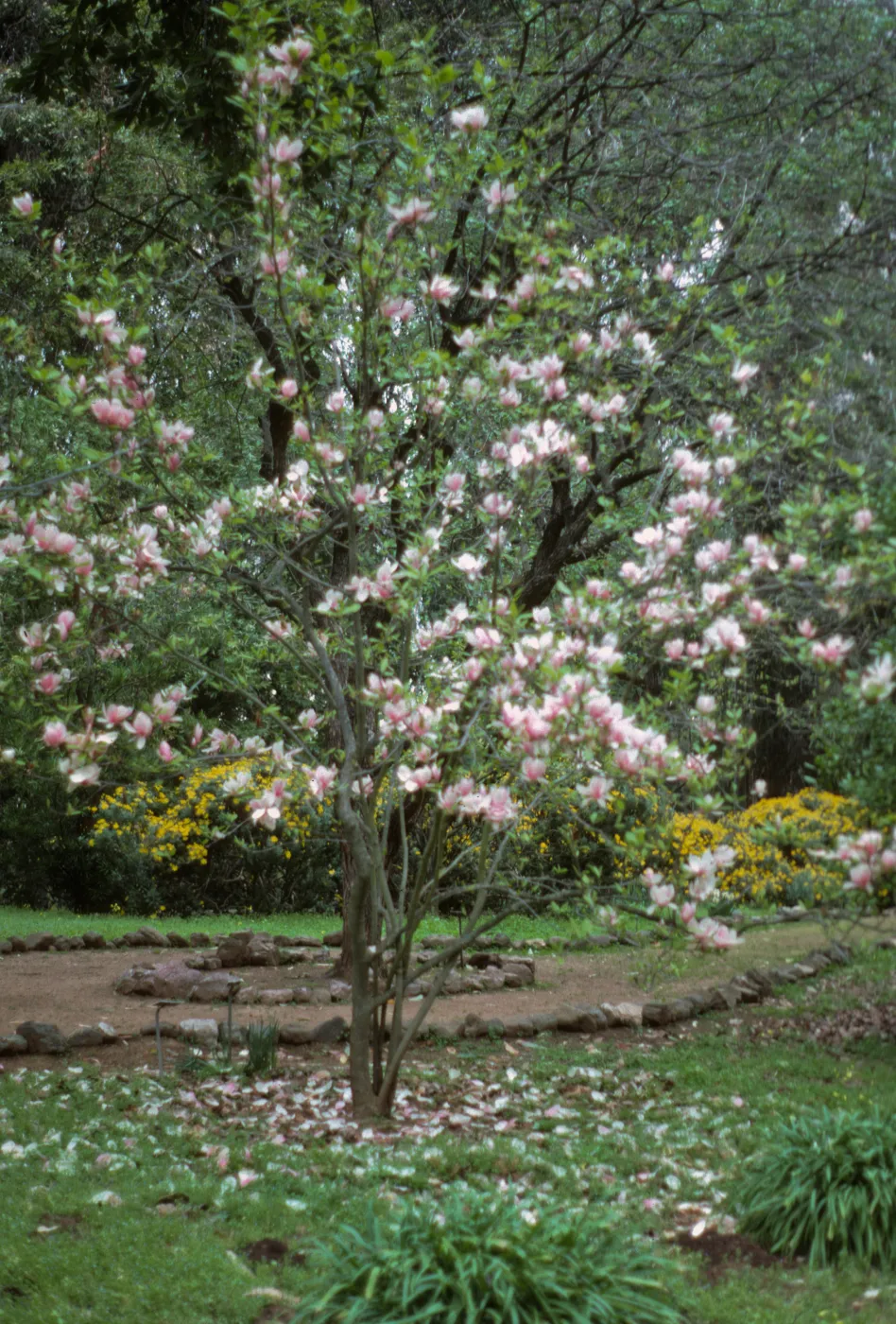 San Francisco Peninsula Trip with Mary Carroll and Lila Burgess