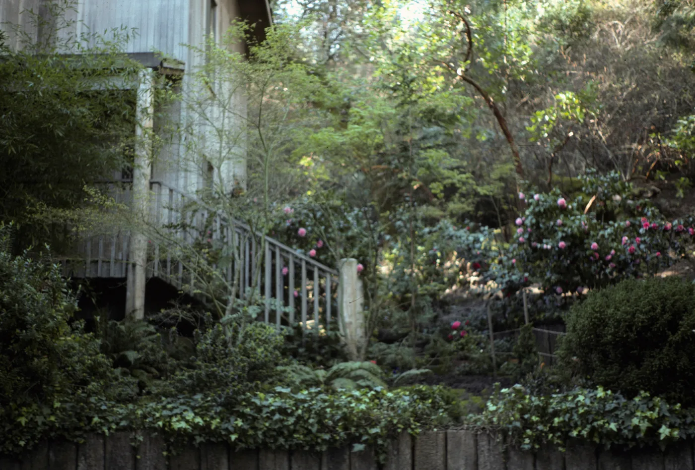 San Francisco Peninsula Trip with Mary Carroll and Lila Burgess